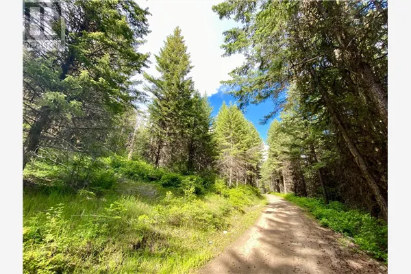 Lot 1827S MORRISSEY CREEK Road
