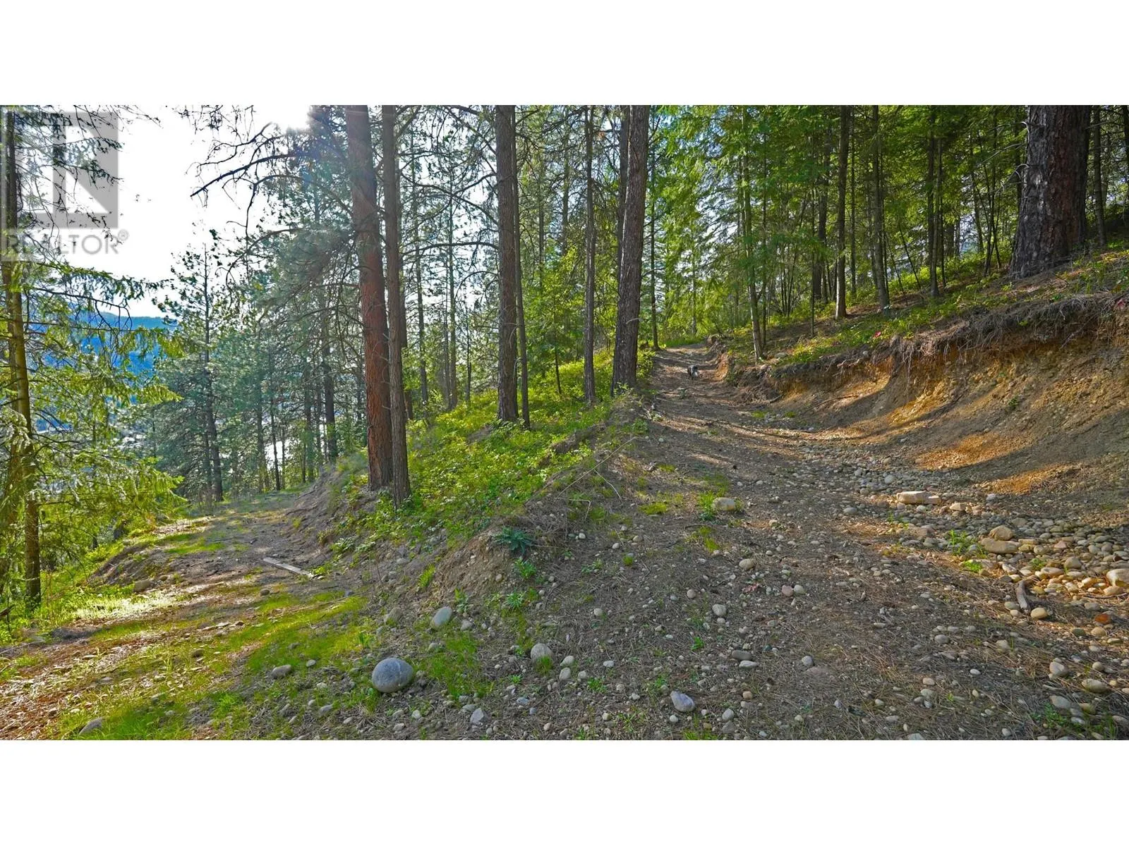 3600 Borrow Pit Road
