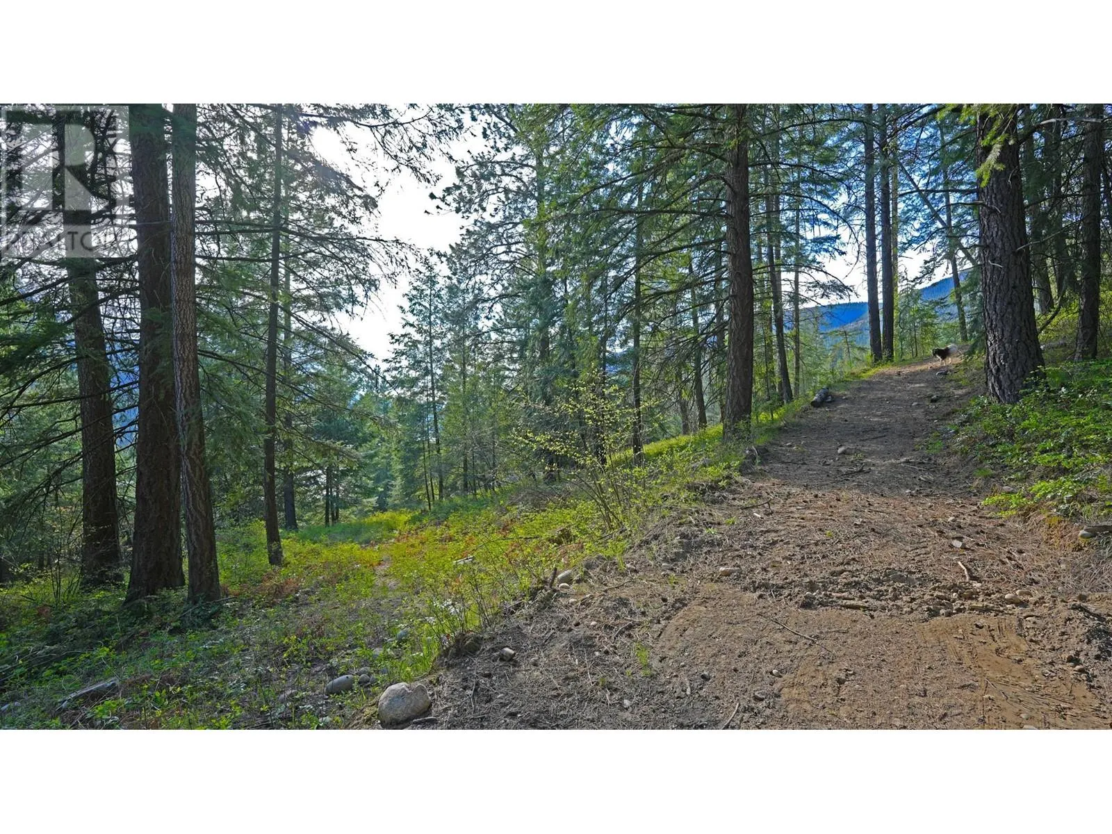 3600 Borrow Pit Road
