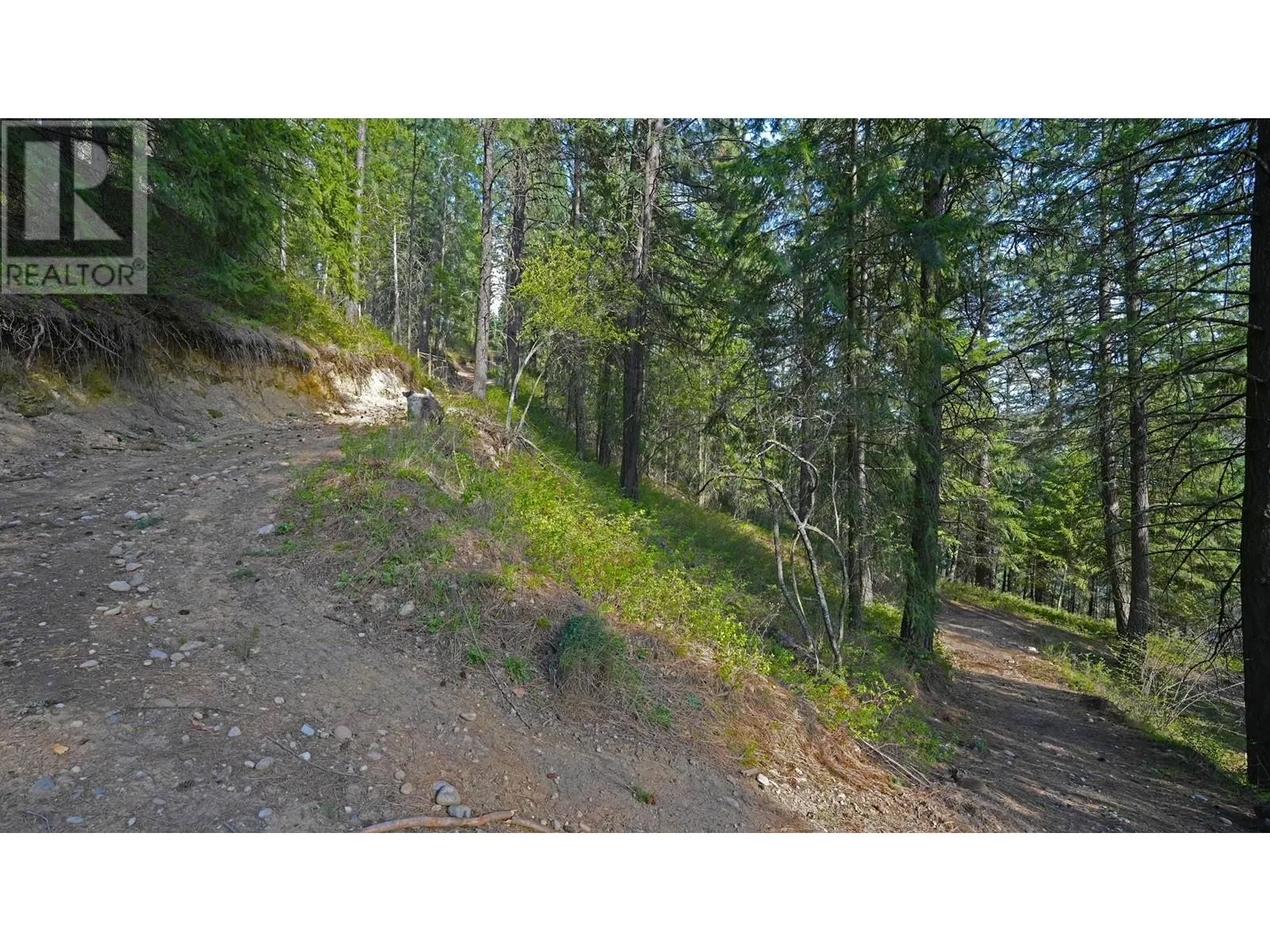 3600 Borrow Pit Road