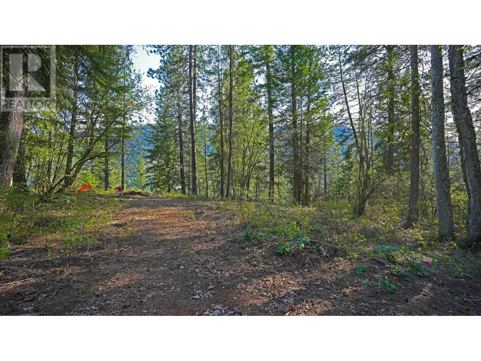 3600 Borrow Pit Road