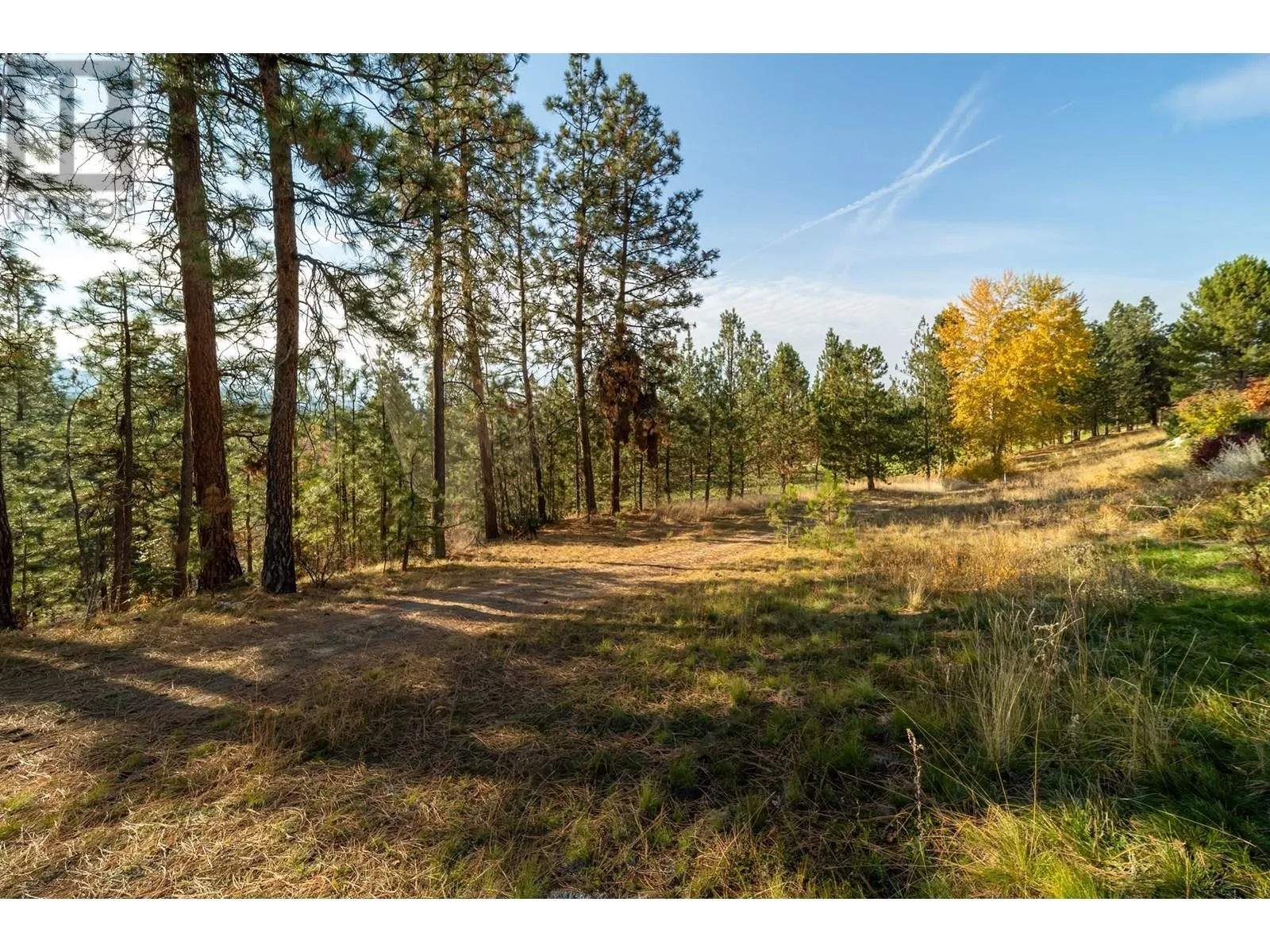 3973 Gallaghers Circle
