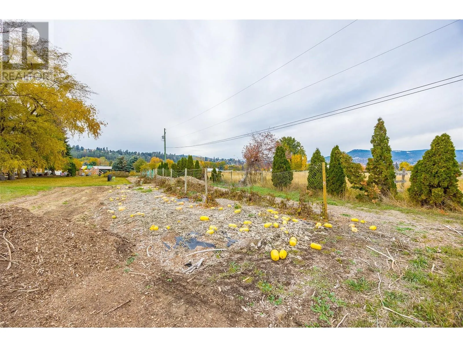 11024 Reiswig Road