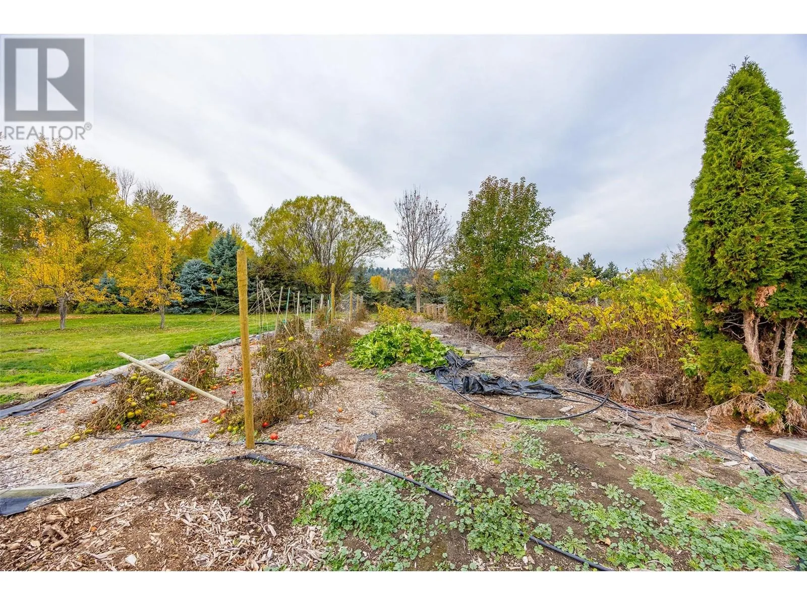 11024 Reiswig Road