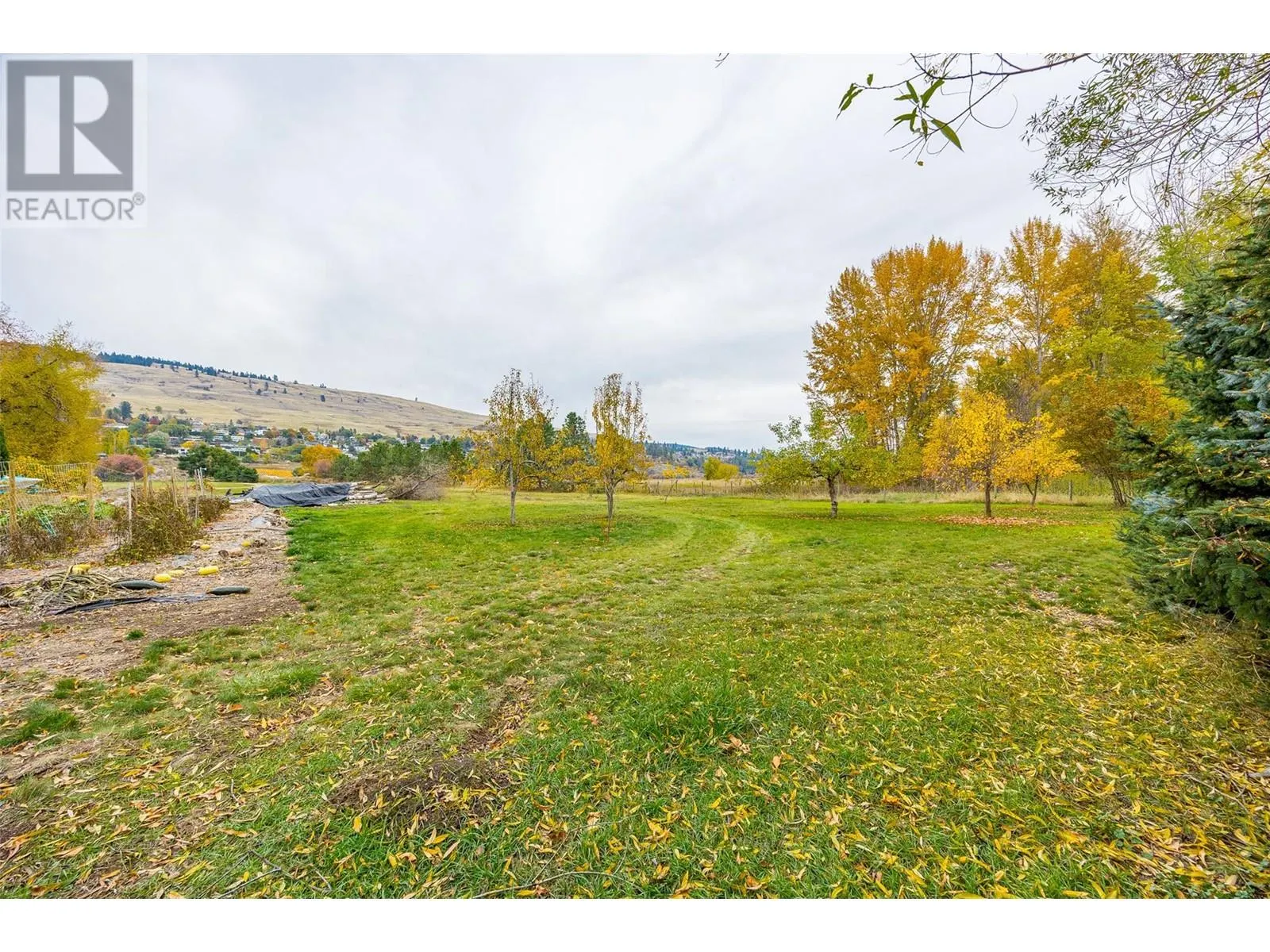 11024 Reiswig Road