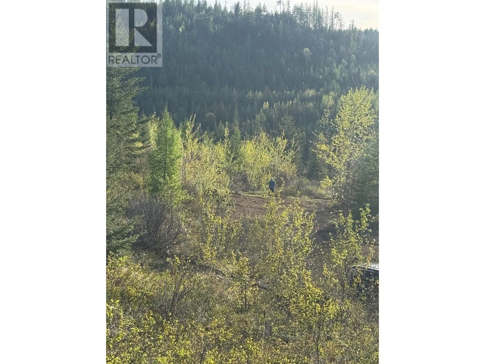 4285 brewer Creek Road