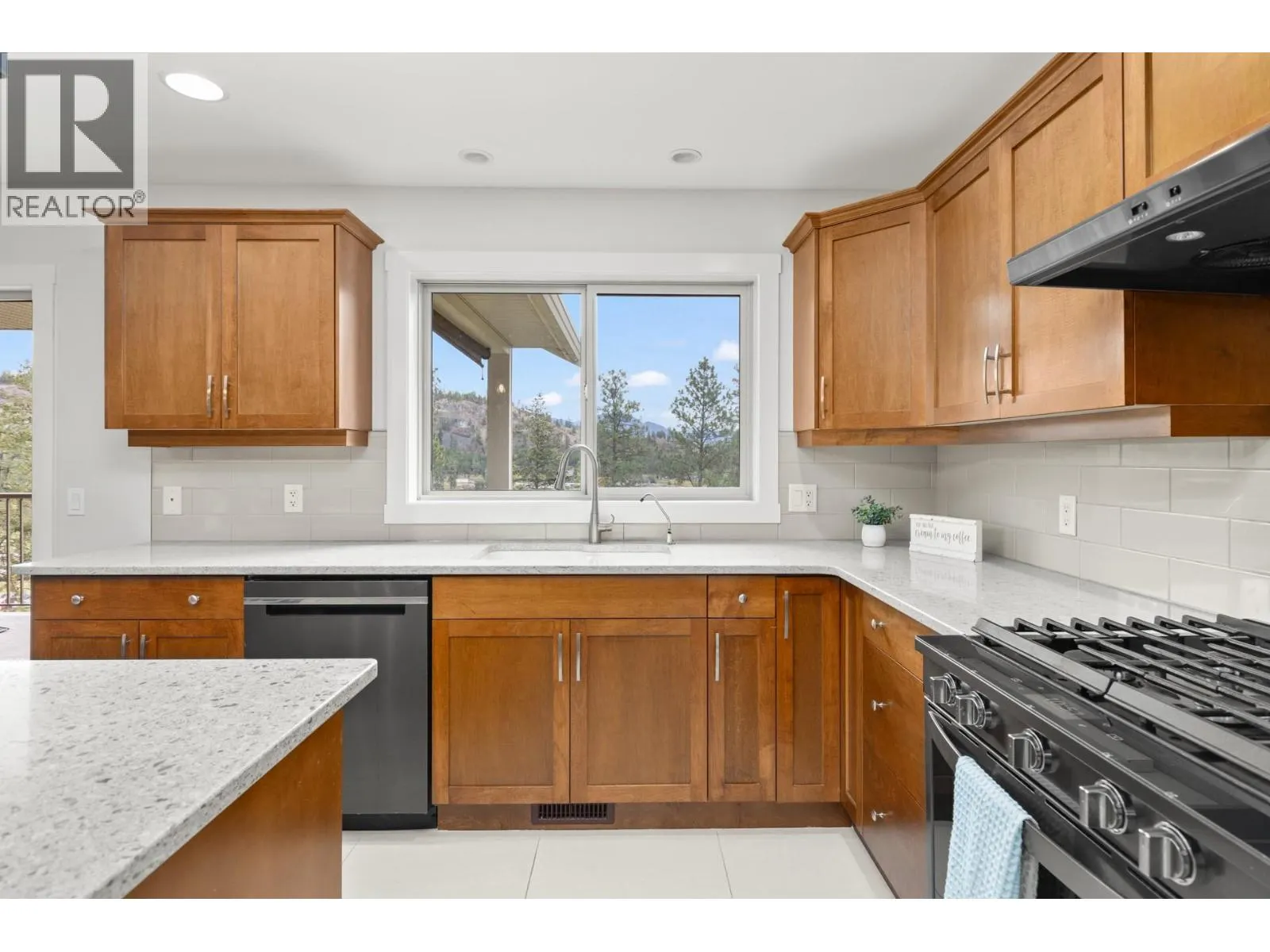 1137 Long Ridge Drive