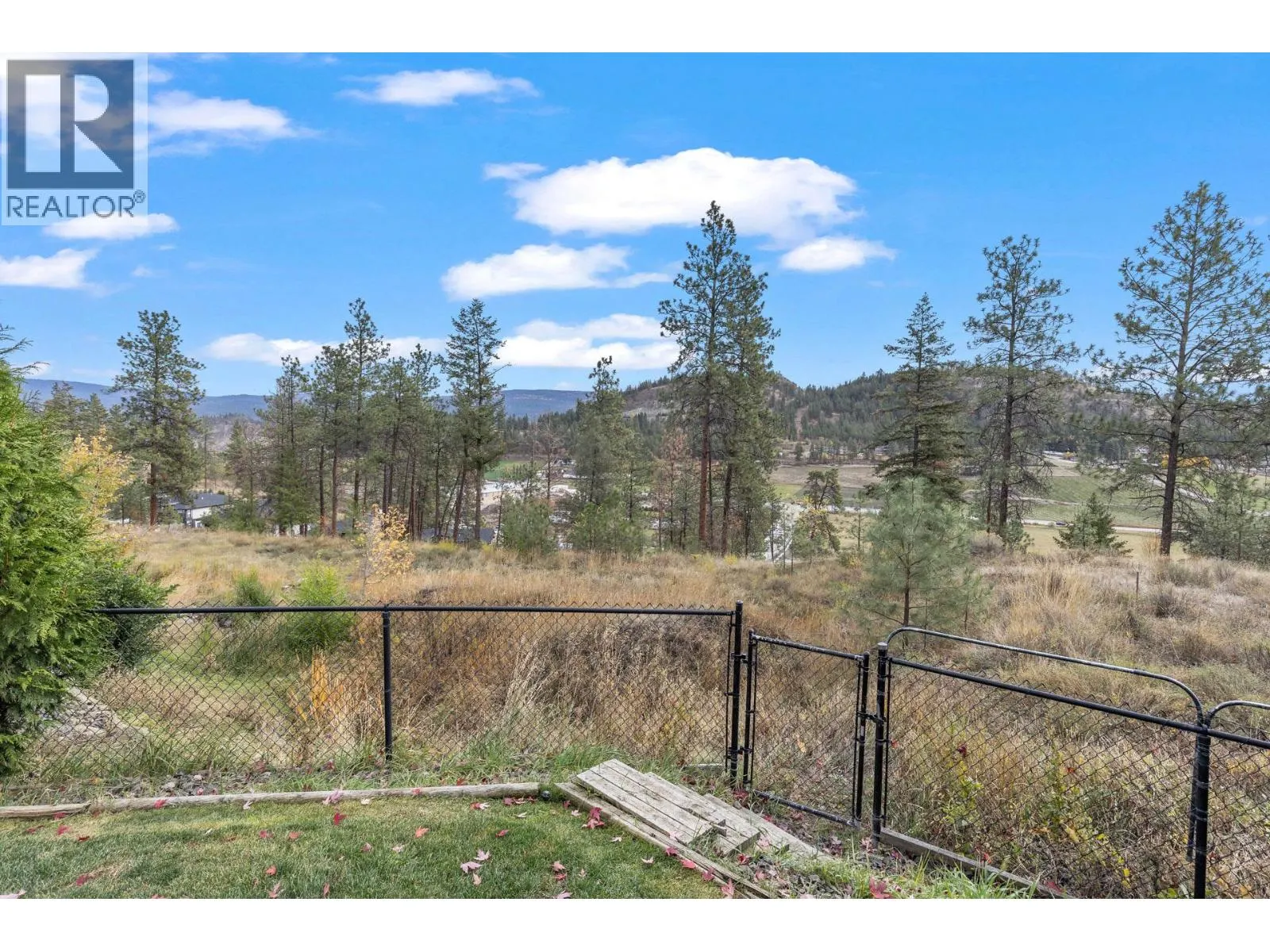 1137 Long Ridge Drive