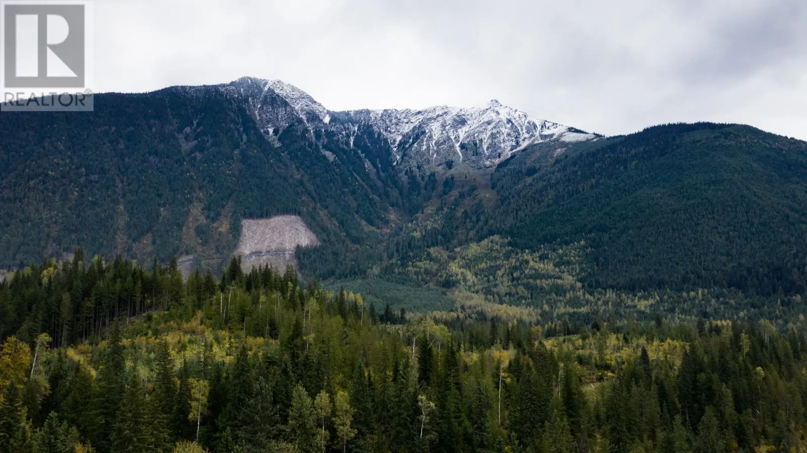 7050 Trans Canada Highway