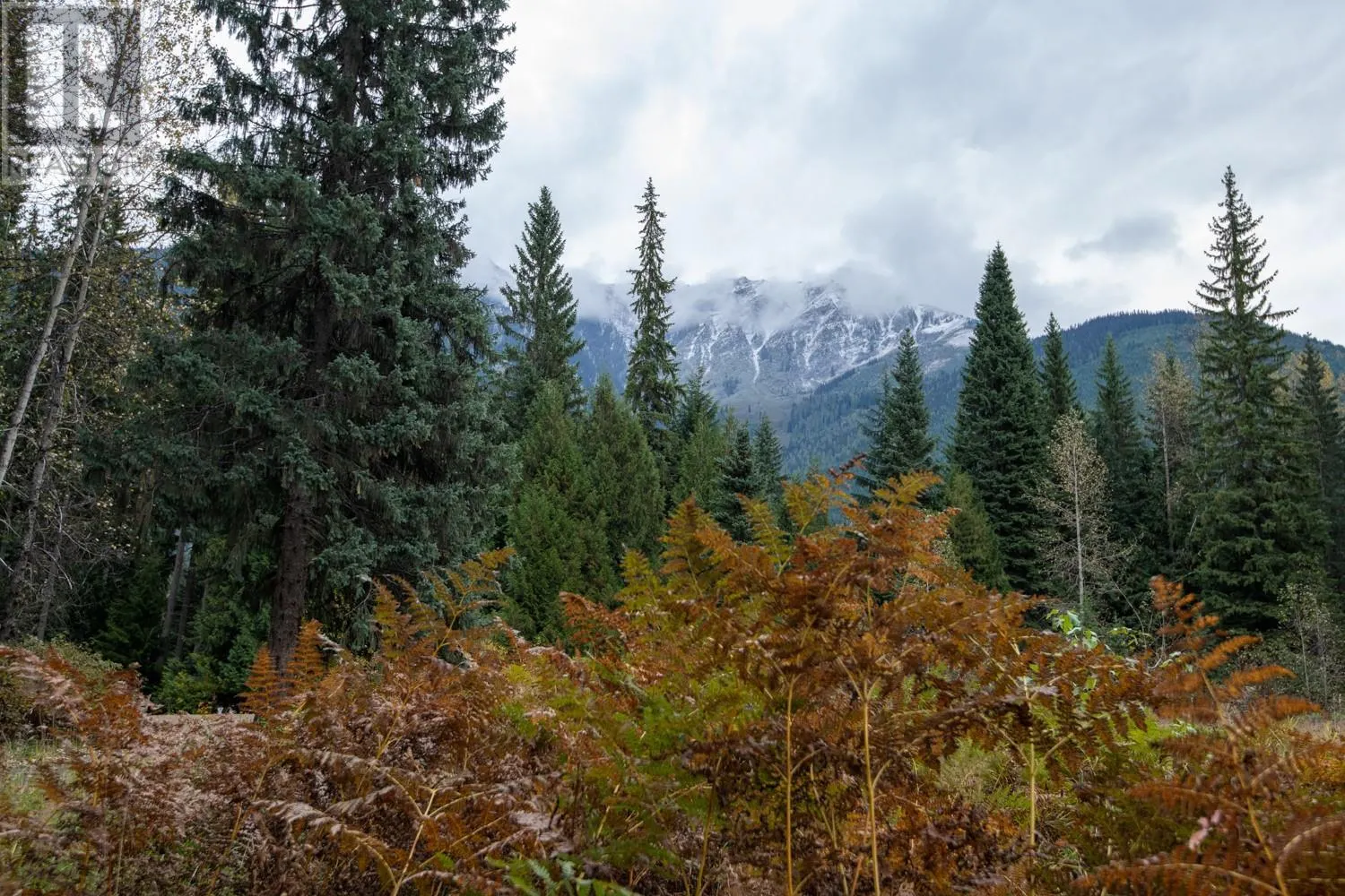 7050 Trans Canada Highway