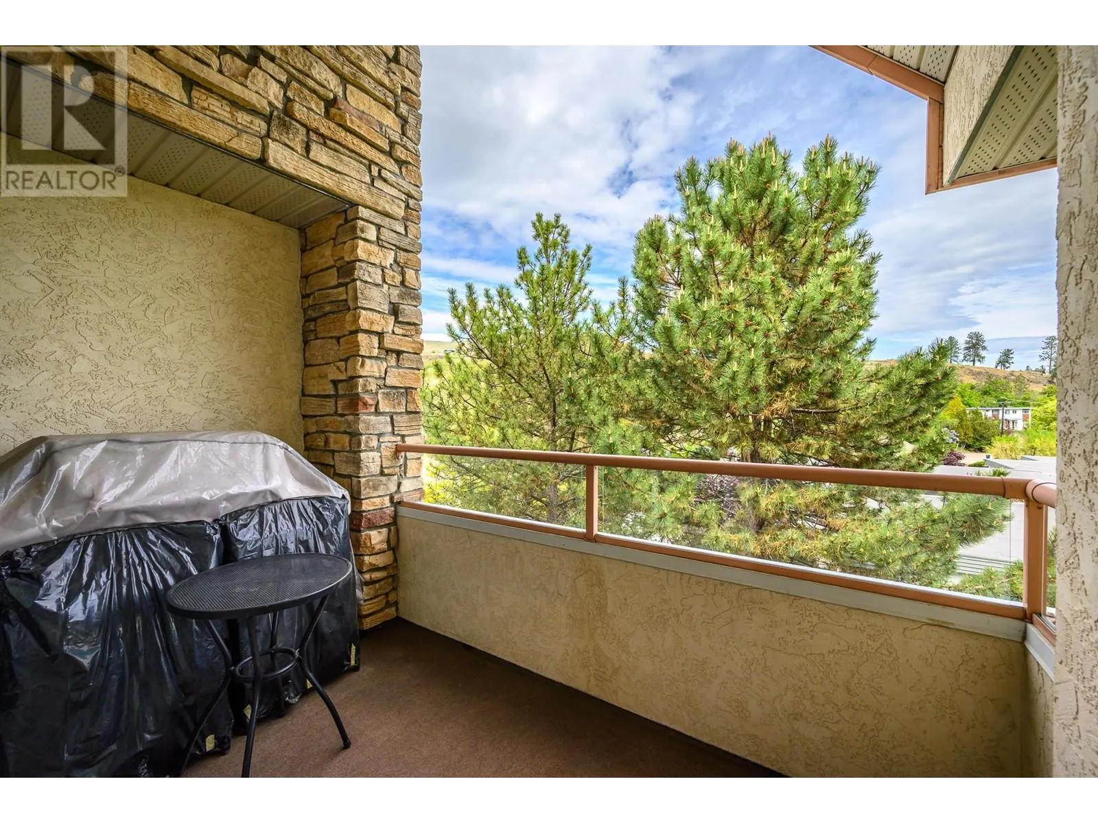 3301 Centennial Drive Unit# 401