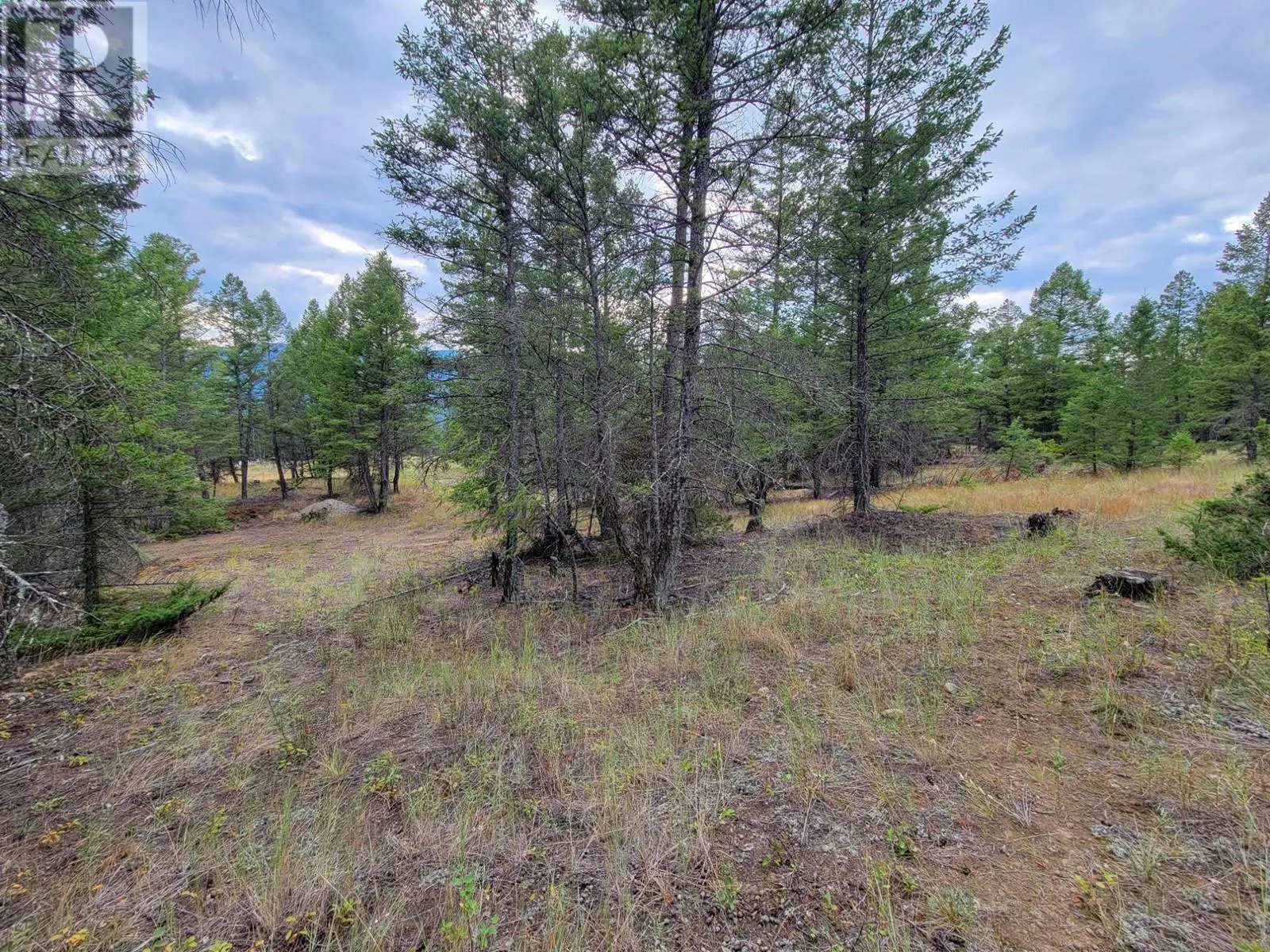 Lot 30 ELKHORN Boulevard