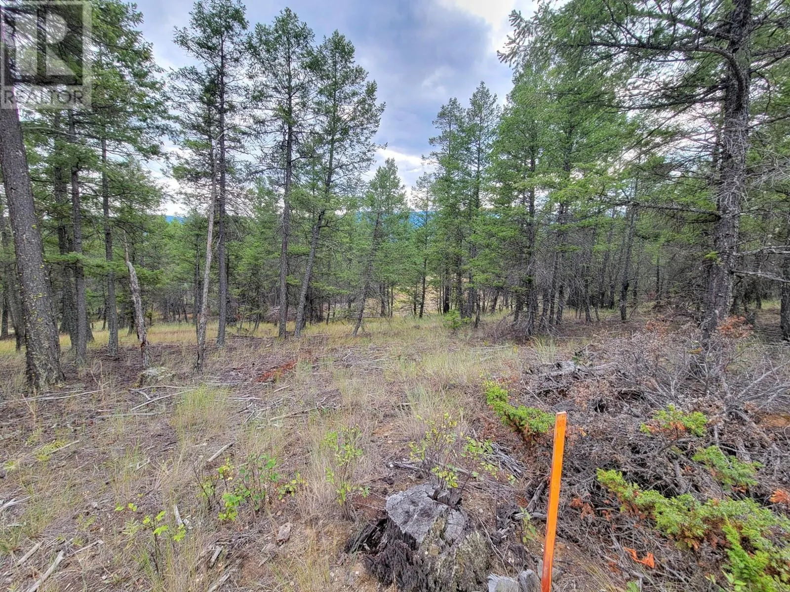 Lot 30 ELKHORN Boulevard