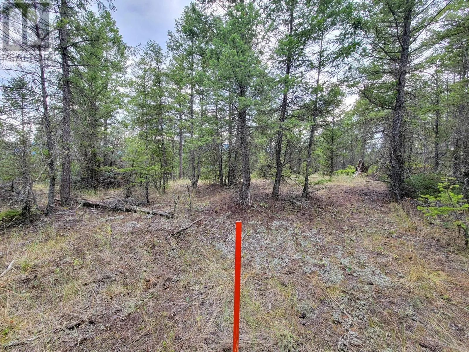 Lot 30 ELKHORN Boulevard