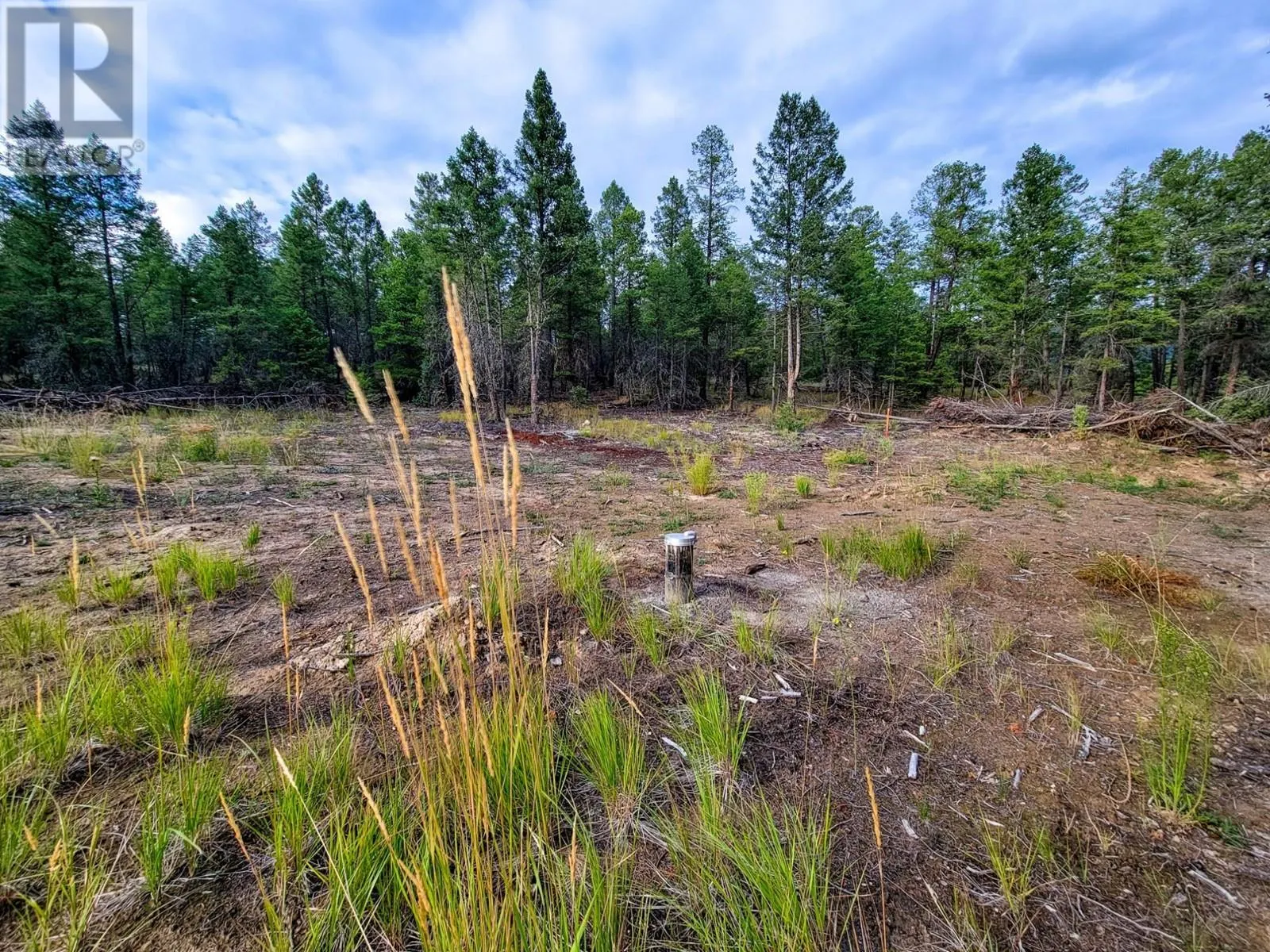 Lot 31 ELKHORN Boulevard