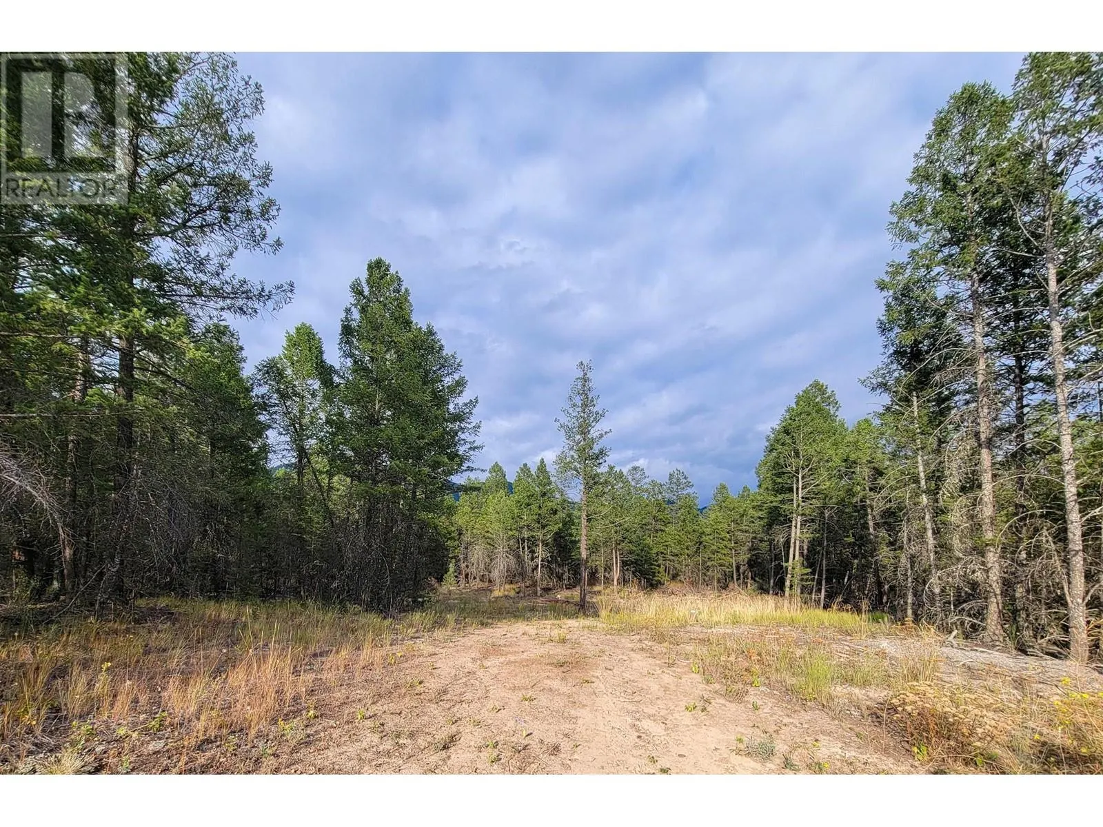 Lot 31 ELKHORN Boulevard
