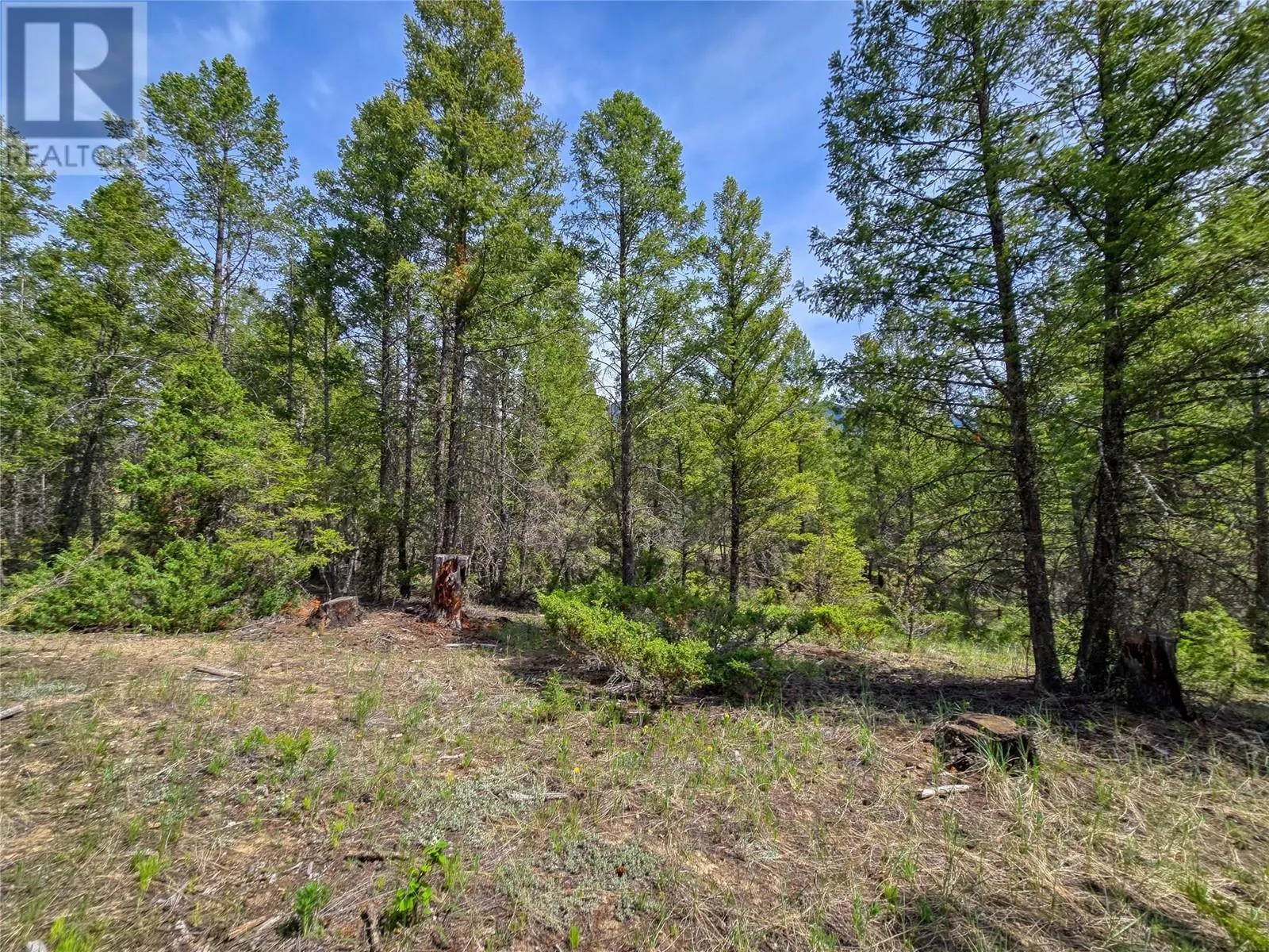 Lot 31 ELKHORN Boulevard