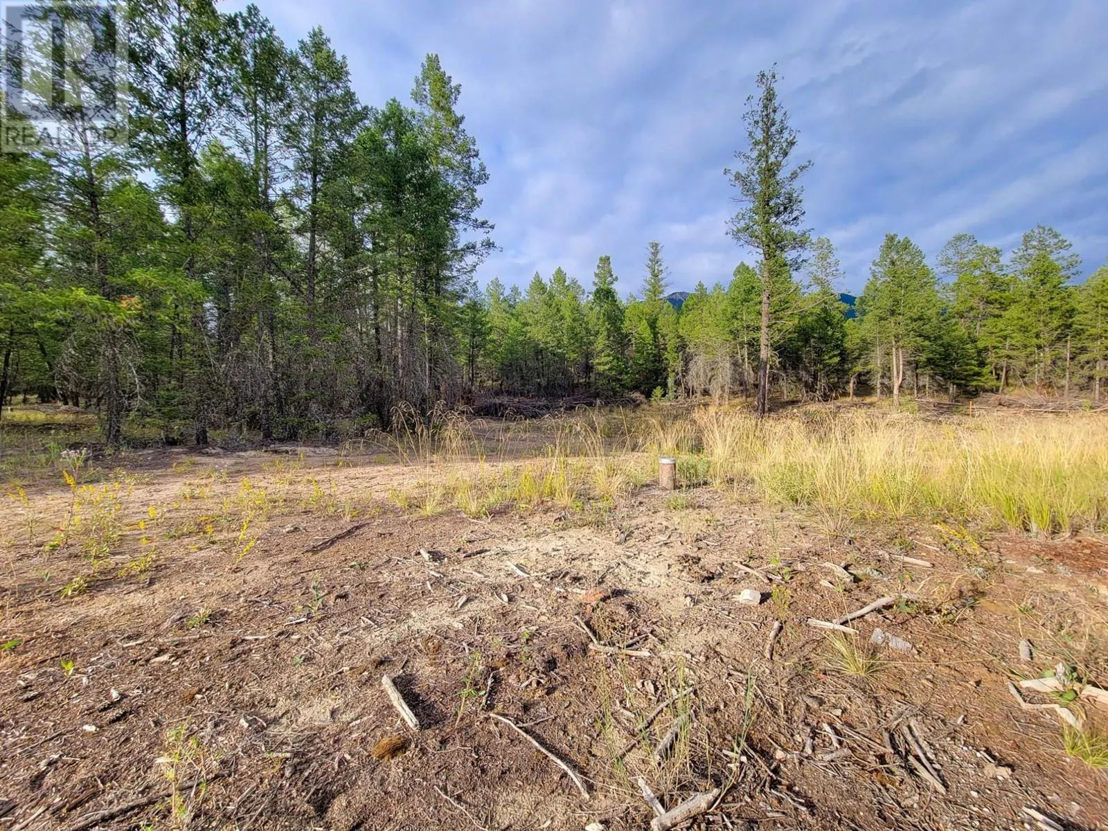 Lot 31 ELKHORN Boulevard