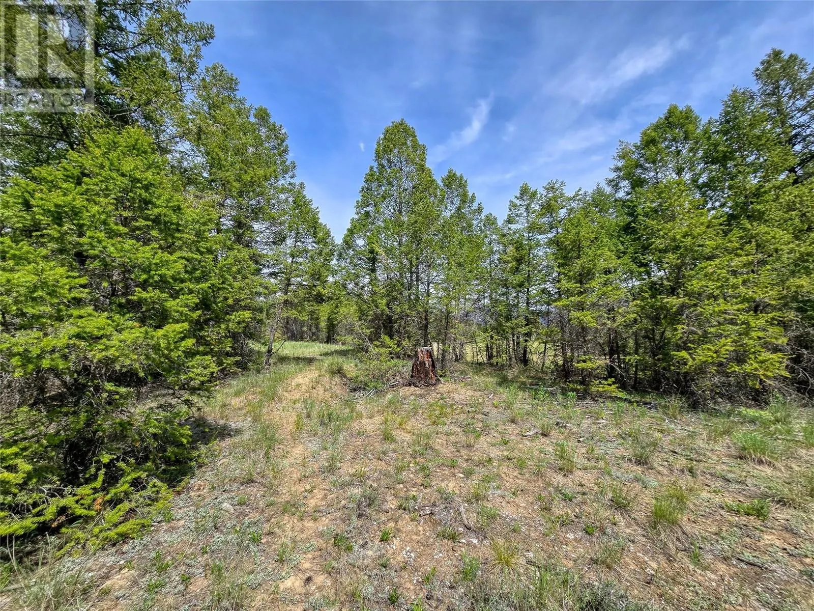 Lot 31 ELKHORN Boulevard