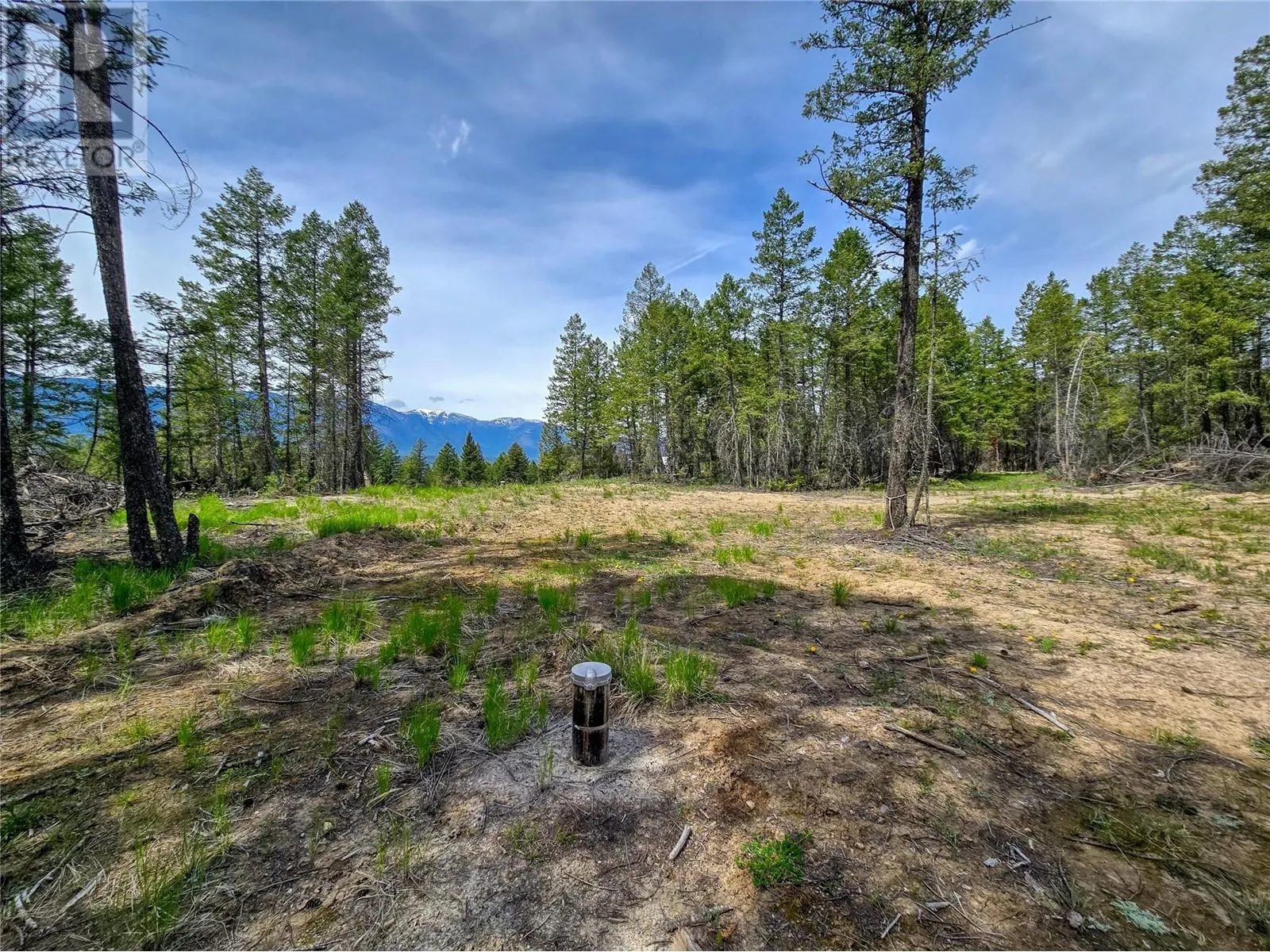 Lot 31 ELKHORN Boulevard