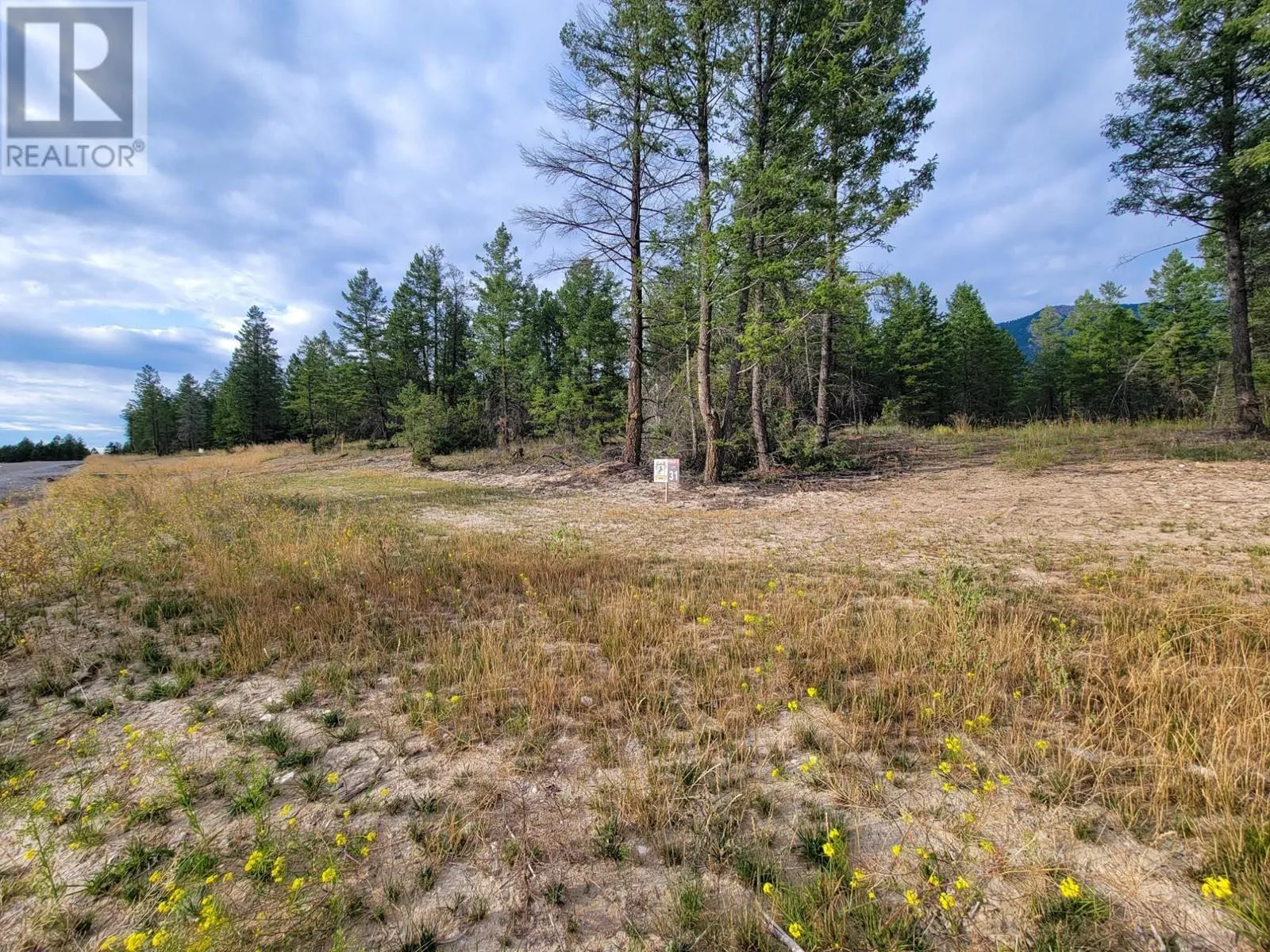 Lot 31 ELKHORN Boulevard