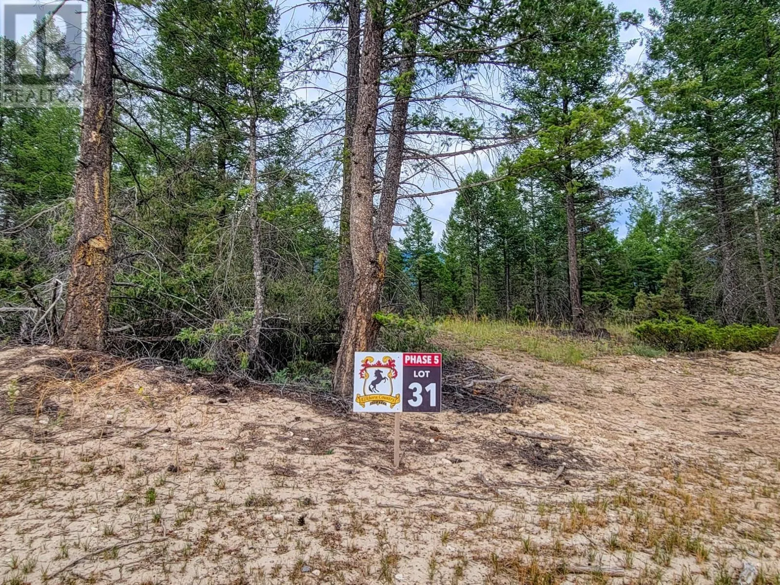 Lot 31 ELKHORN Boulevard