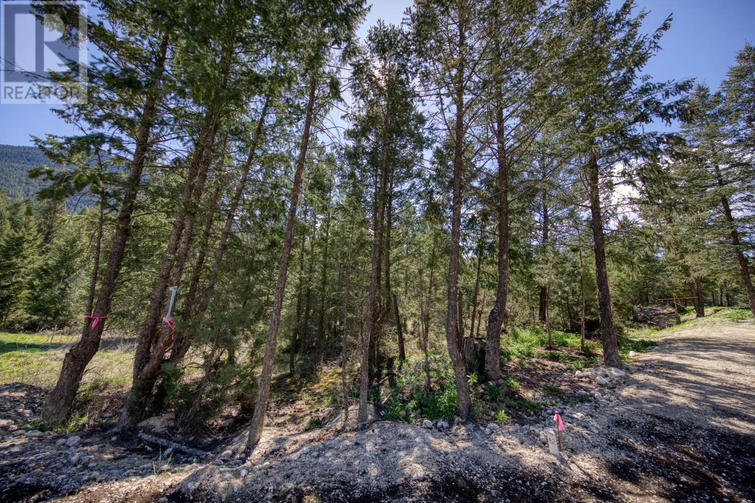 Lot 43 Cooper Road