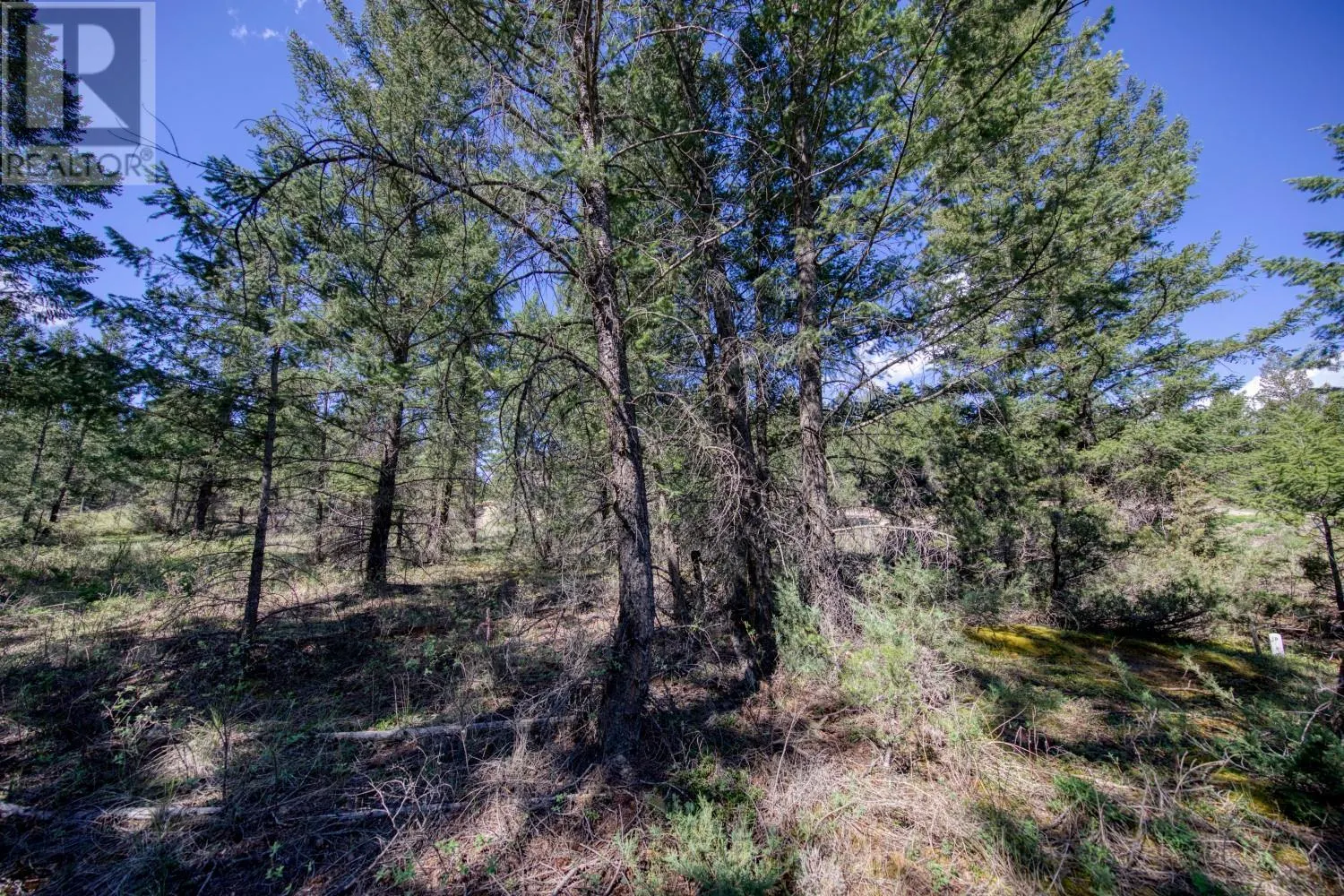 Lot 43 Cooper Road