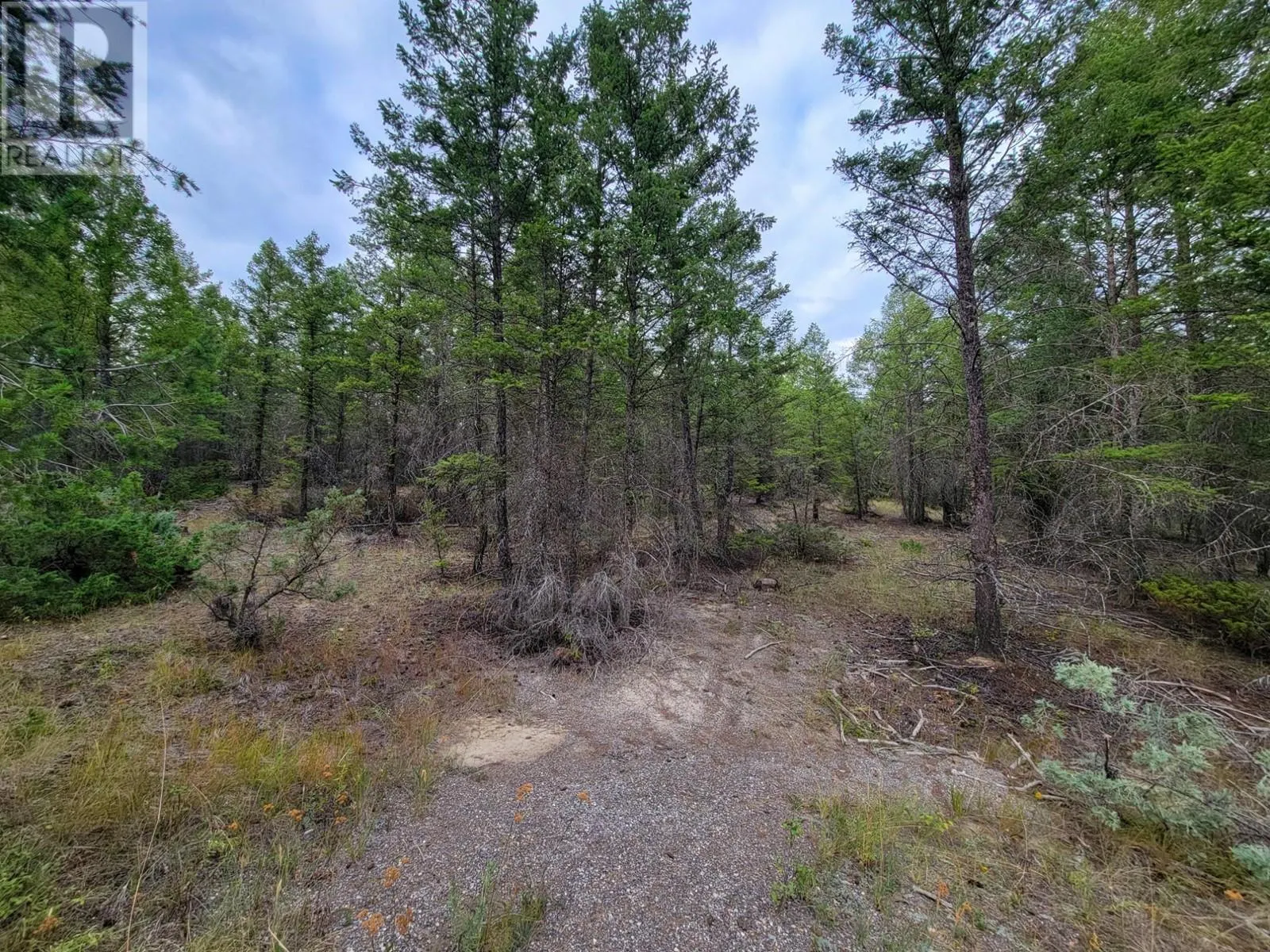 Lot 32 ELKHORN Boulevard