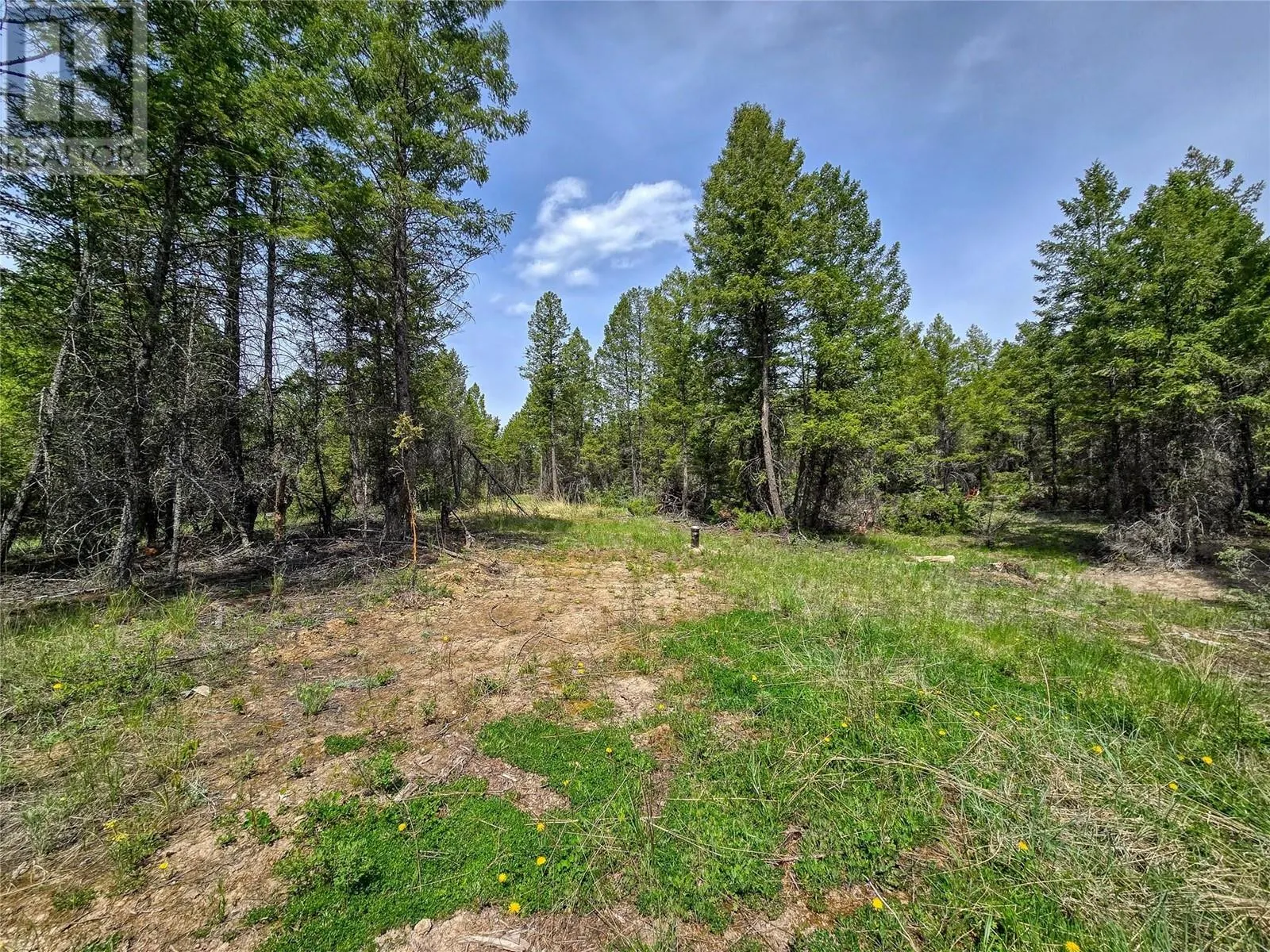 Lot 32 ELKHORN Boulevard
