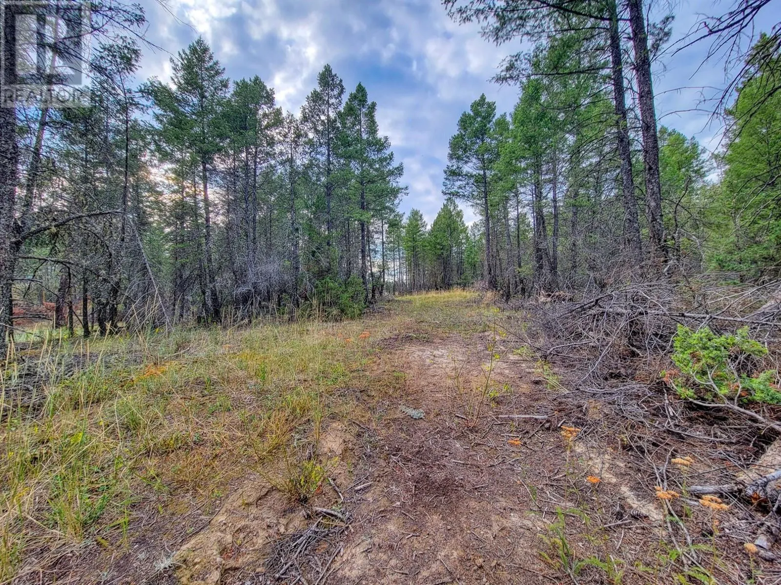 Lot 32 ELKHORN Boulevard