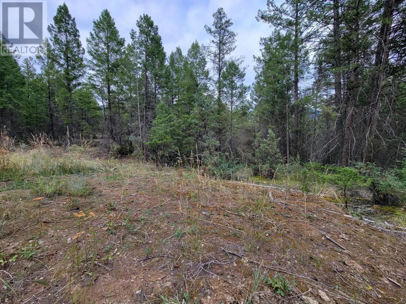 Lot 32 ELKHORN Boulevard