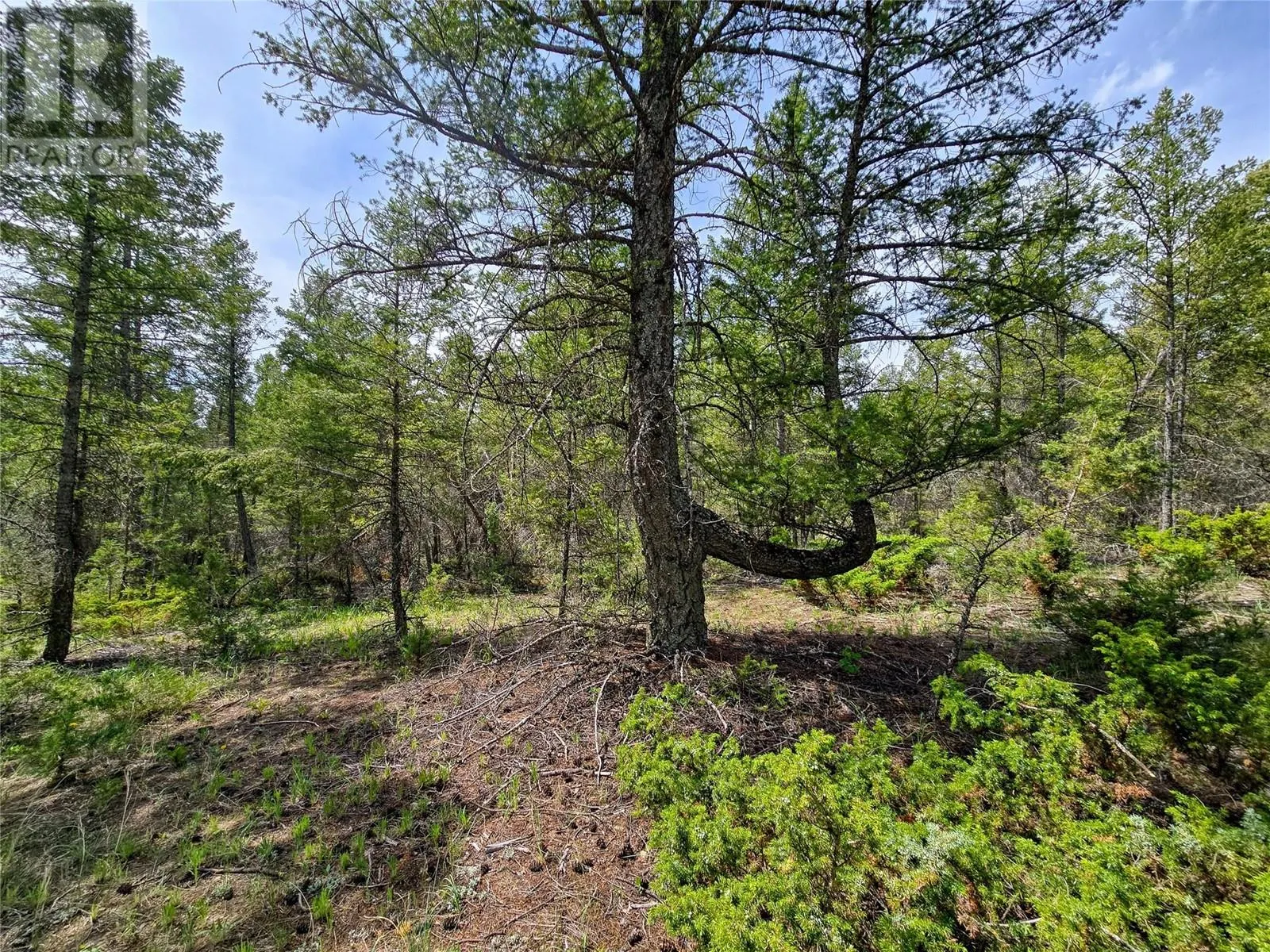 Lot 32 ELKHORN Boulevard