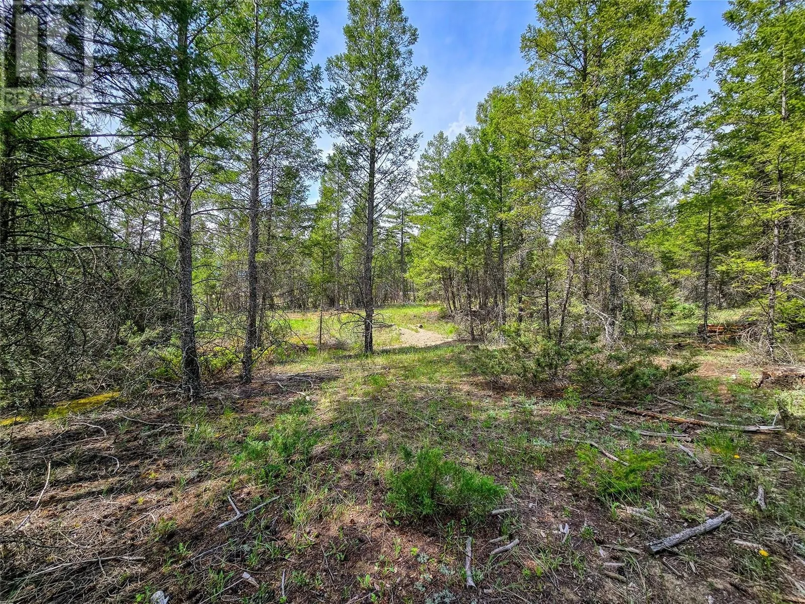 Lot 32 ELKHORN Boulevard