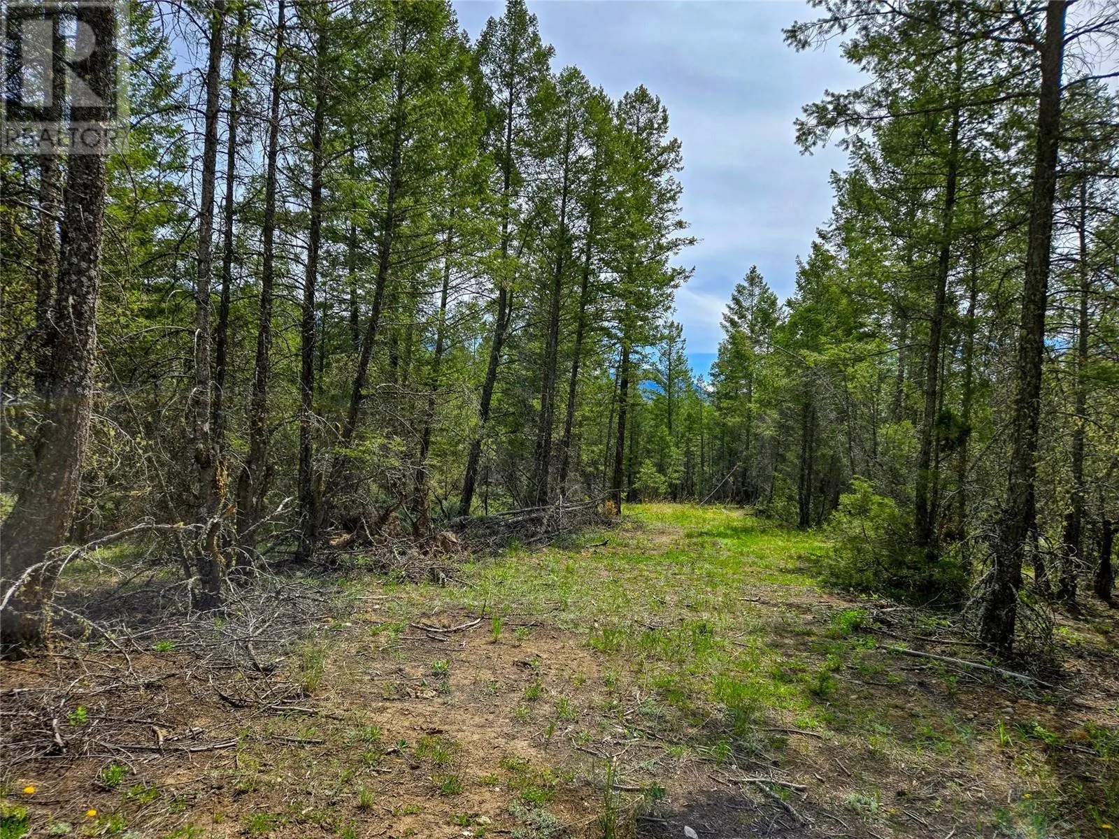 Lot 32 ELKHORN Boulevard
