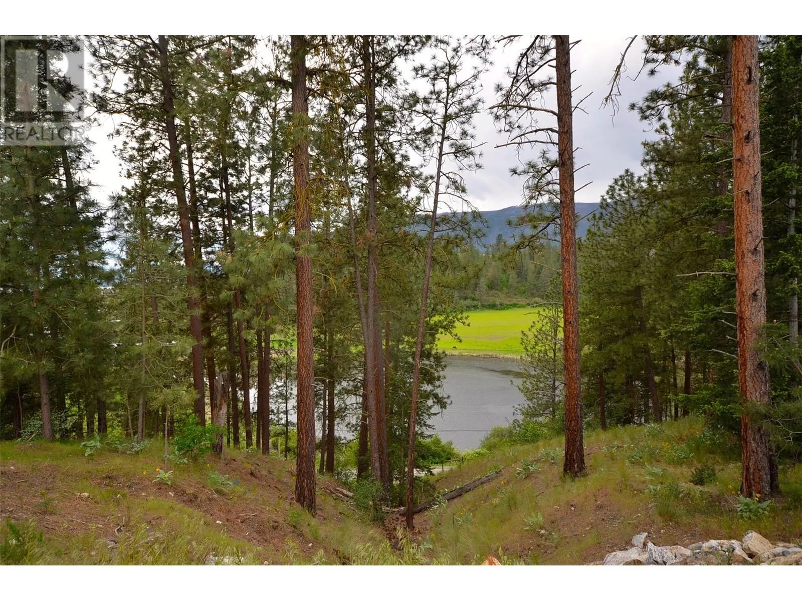 9510 HIGHWAY 97 N Unit# 157