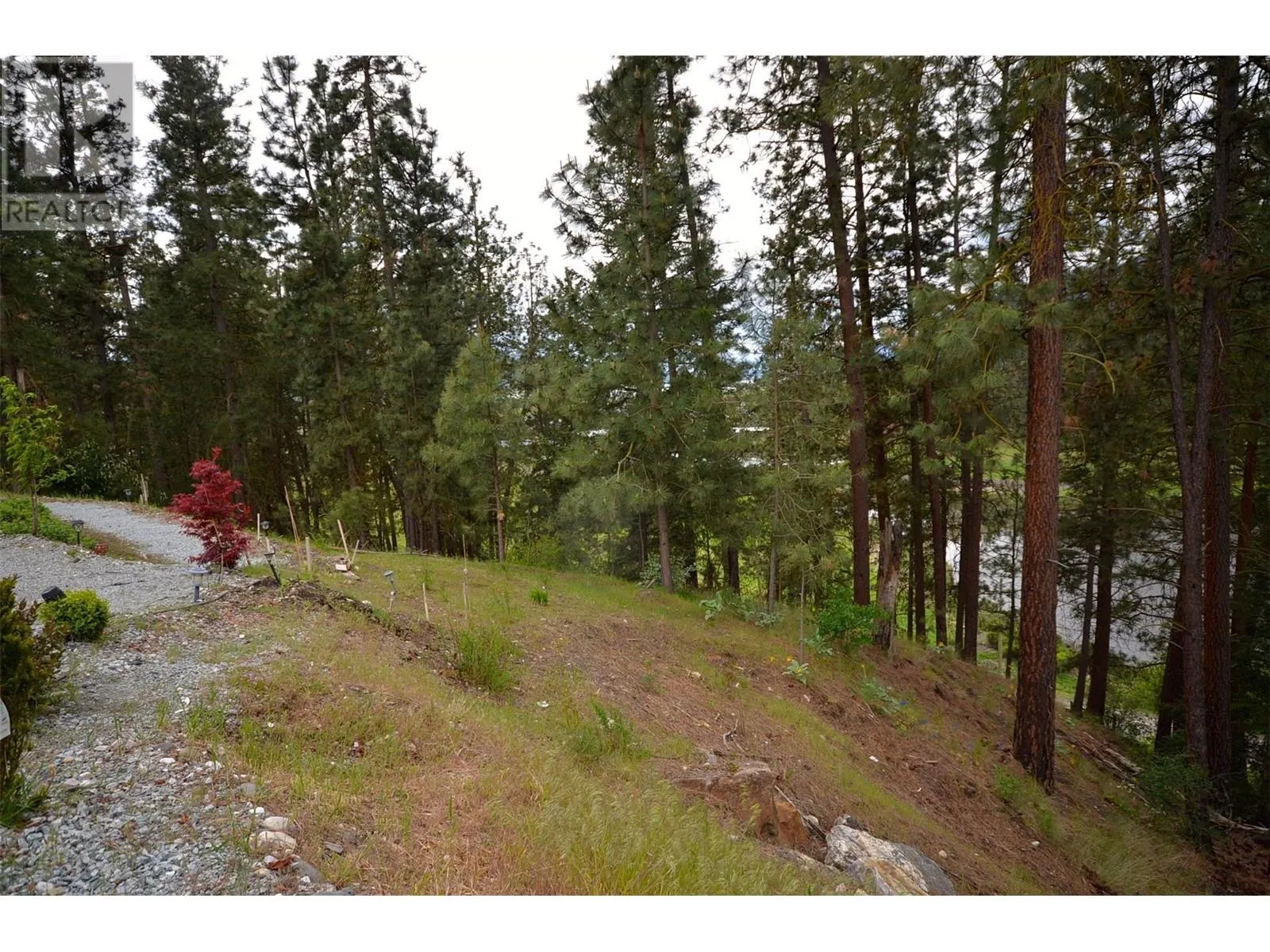 9510 HIGHWAY 97 N Unit# 157