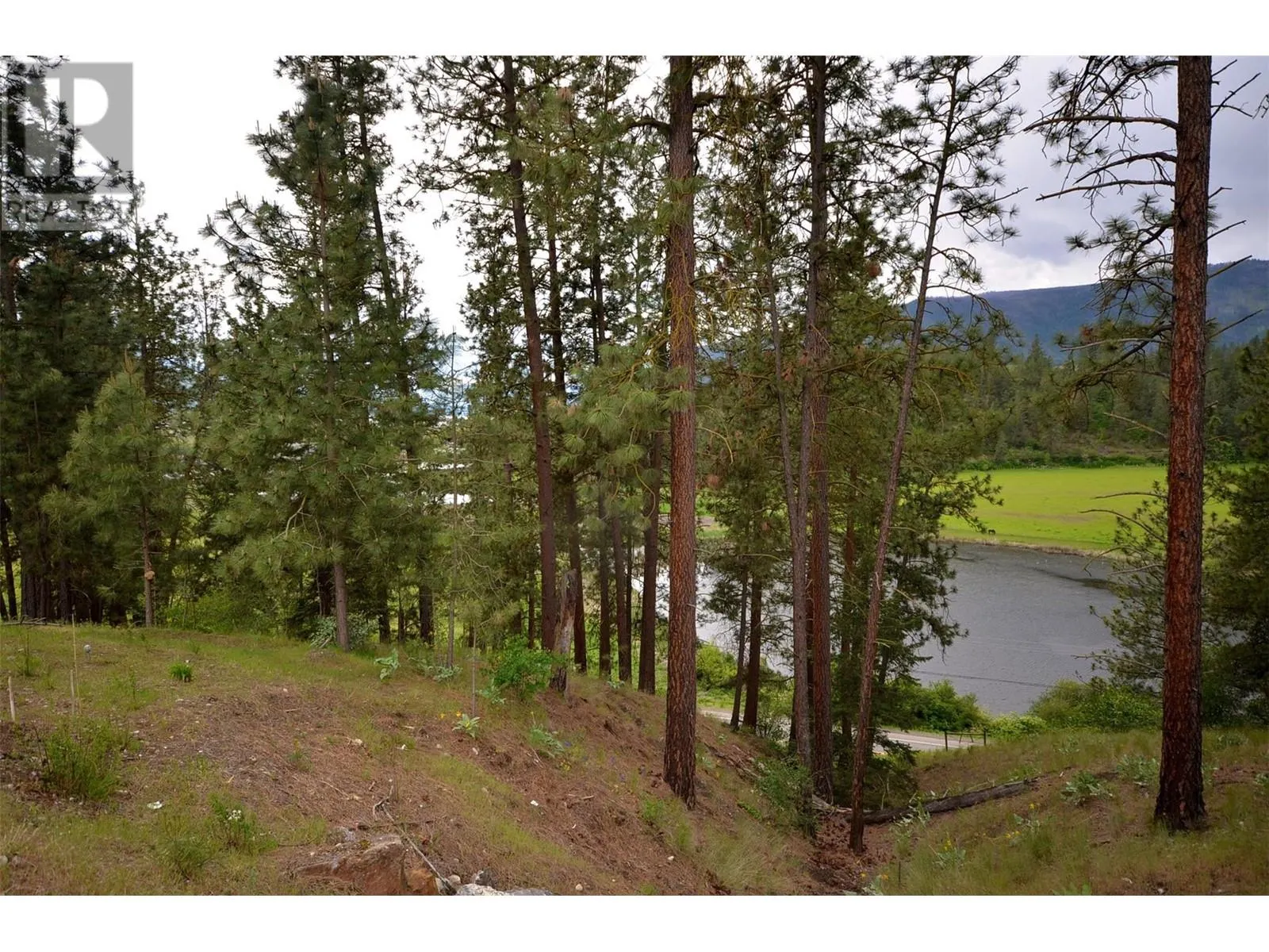 9510 HIGHWAY 97 N Unit# 157