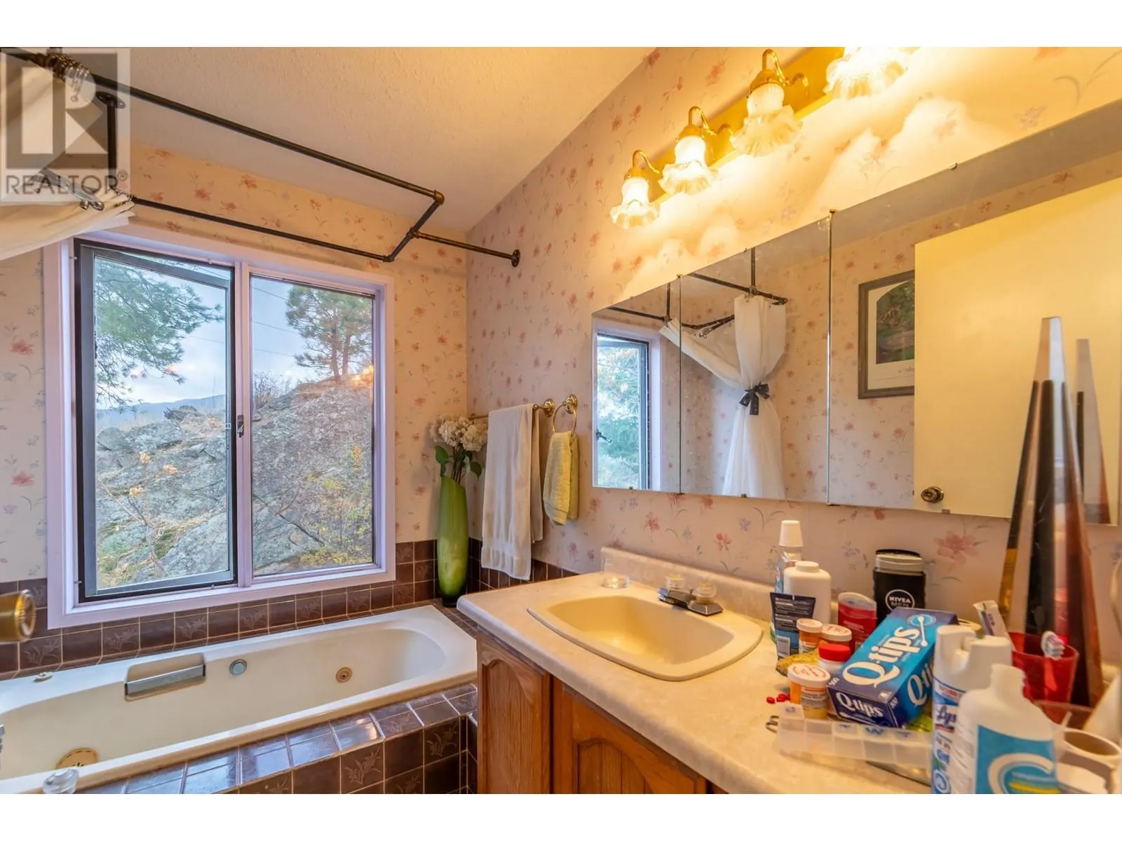 223 SUNNYBROOK Drive