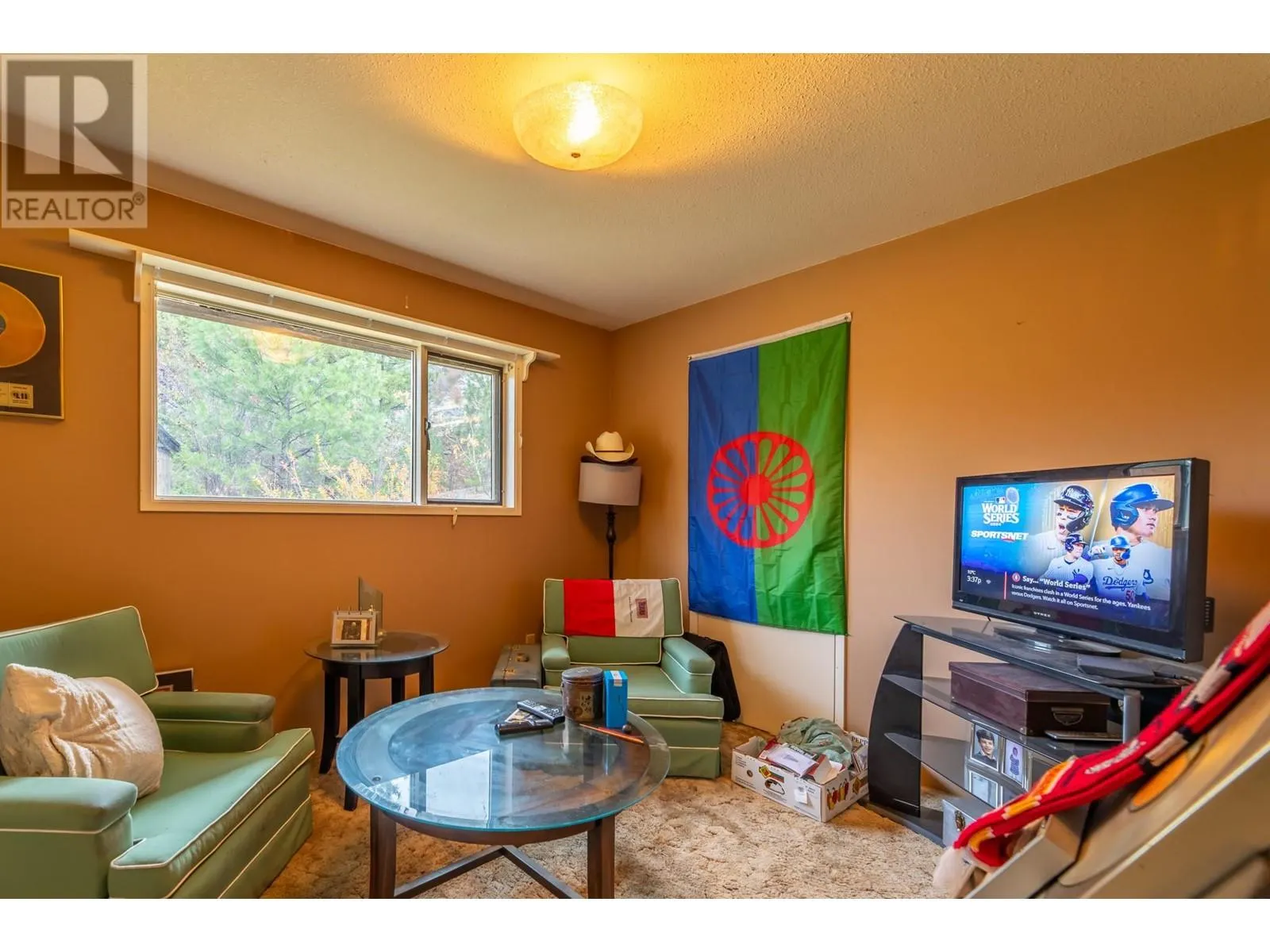 223 SUNNYBROOK Drive
