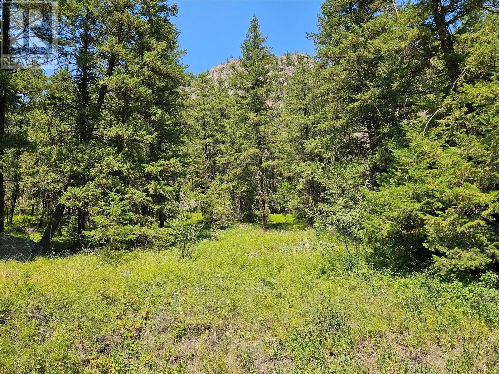 Lot A White Lake Road