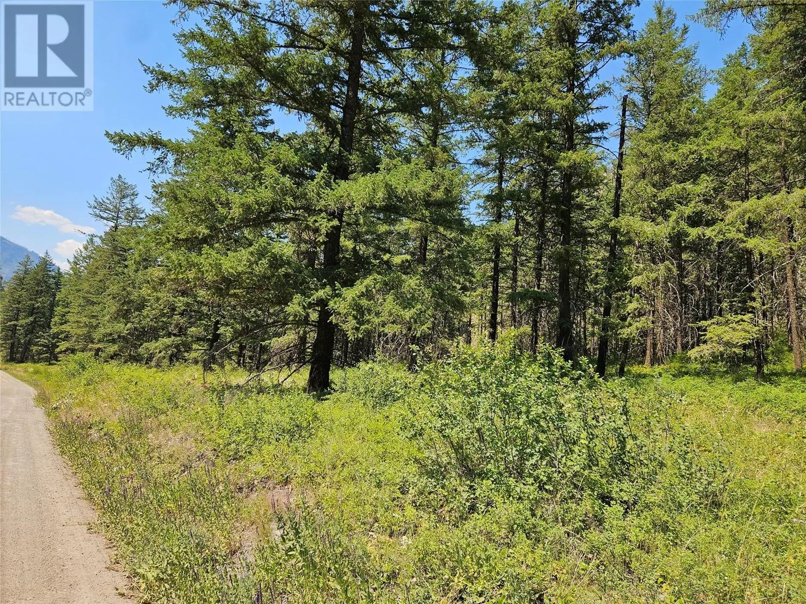 Lot A White Lake Road