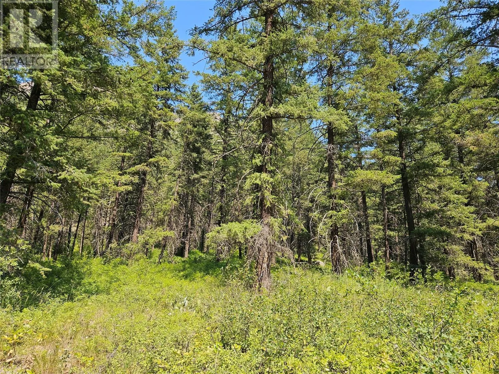 Lot A White Lake Road