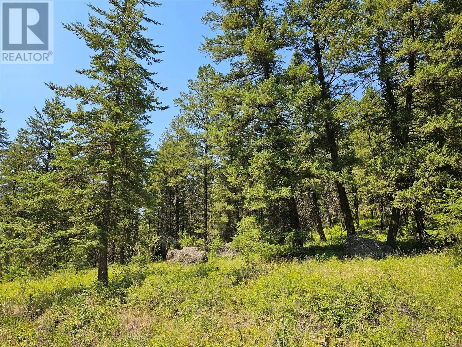 Lot A White Lake Road