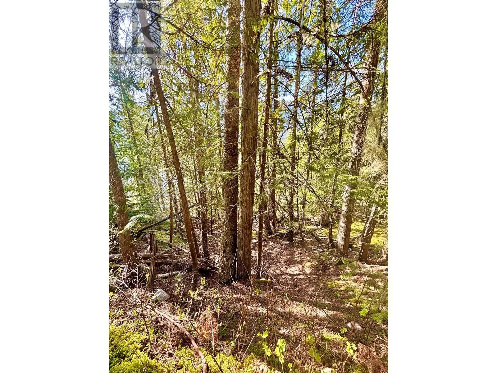 3614 Lumby Mabel Lake Road