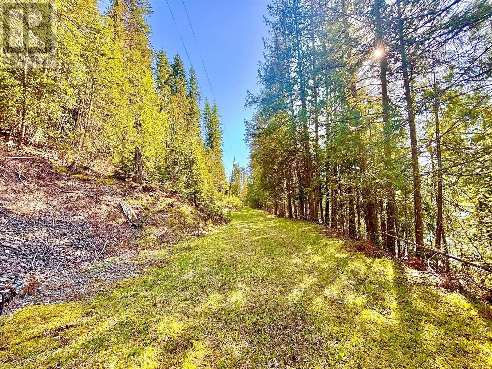 3614 Lumby Mabel Lake Road
