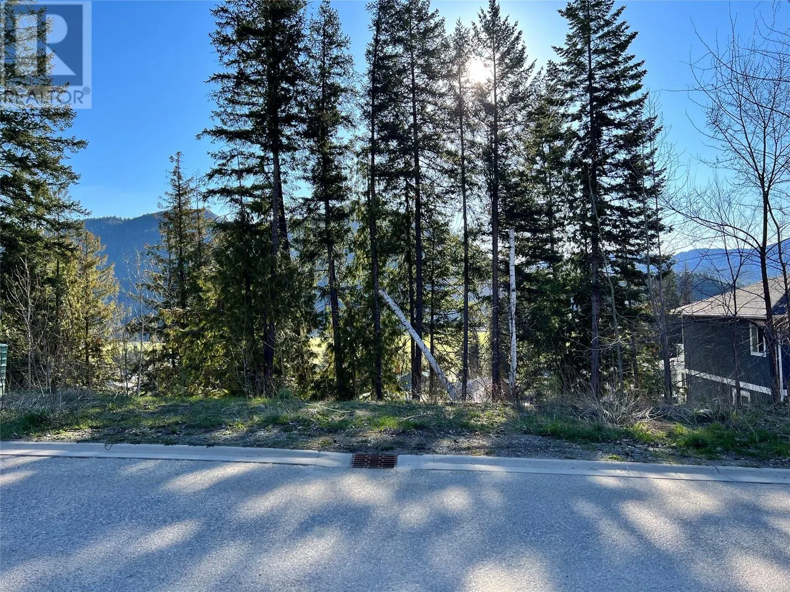 2541 Cedar Ridge Court