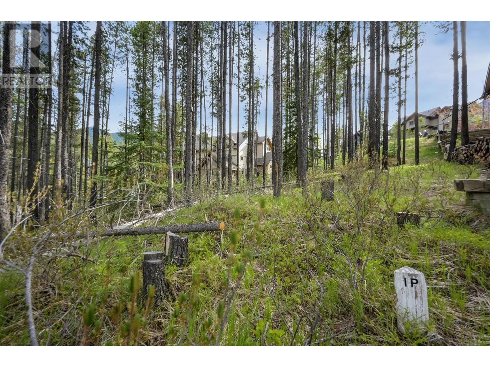 Lot 2 Cliffside Grove