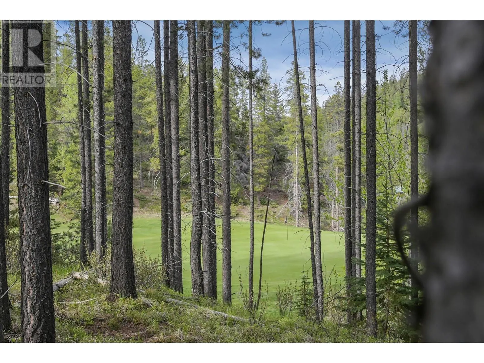 Lot 2 Cliffside Grove