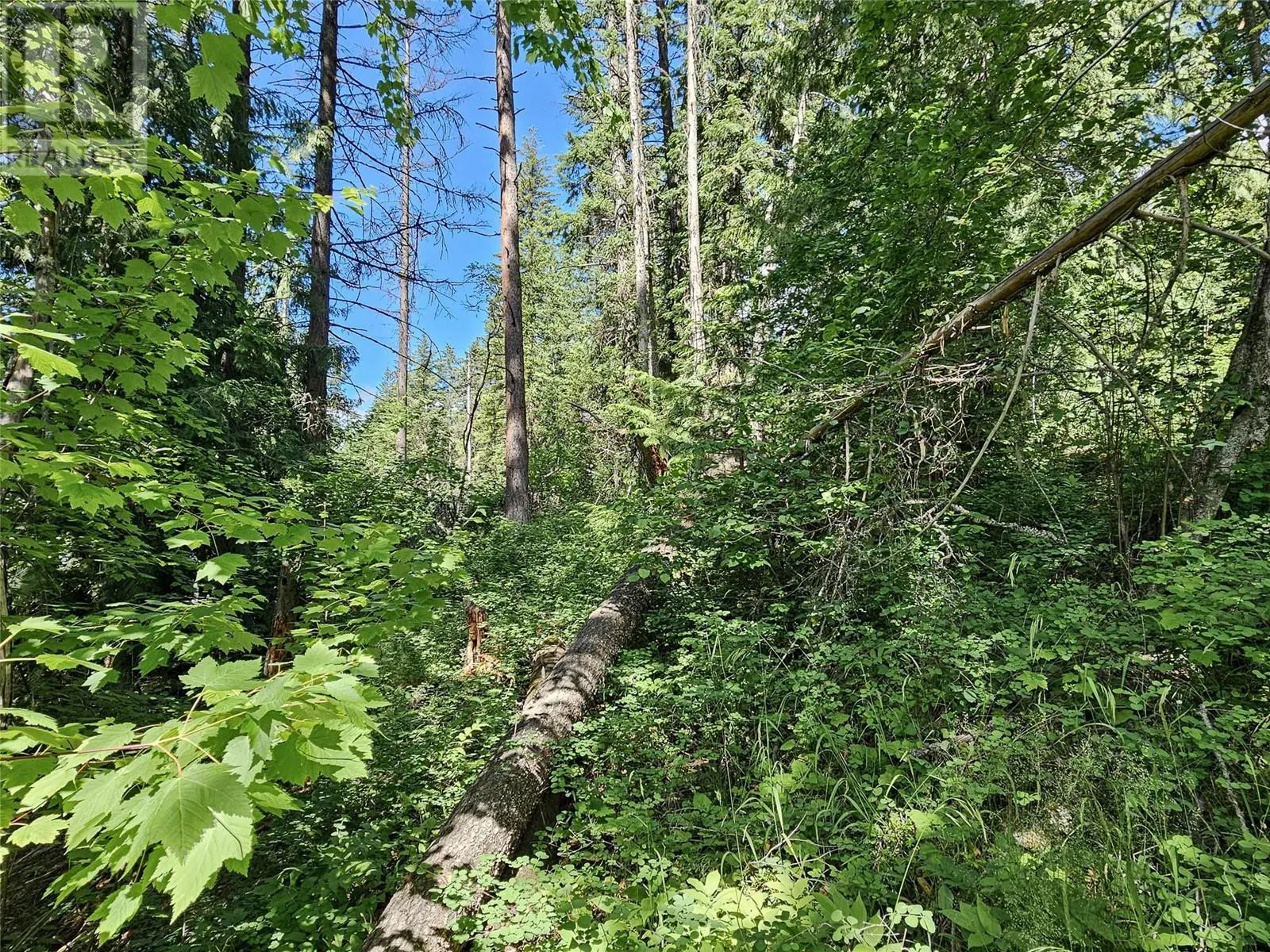 Lot 1 LONGBEACH Road